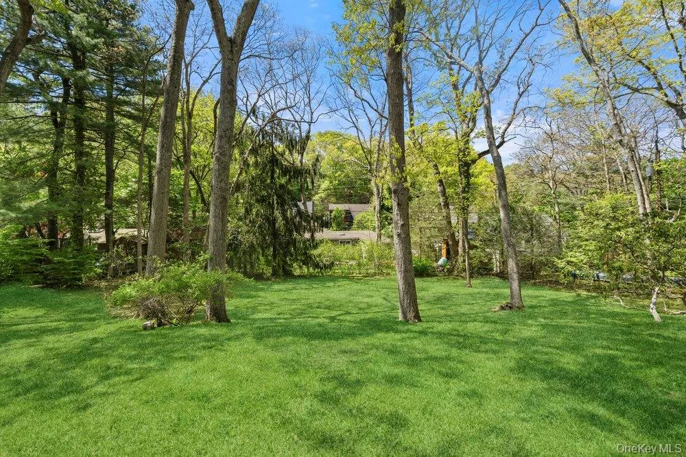Expansive lawn area surrounded by mature trees, offering a private setting Expansive lawn area surrounded by mature trees, offering a private setting