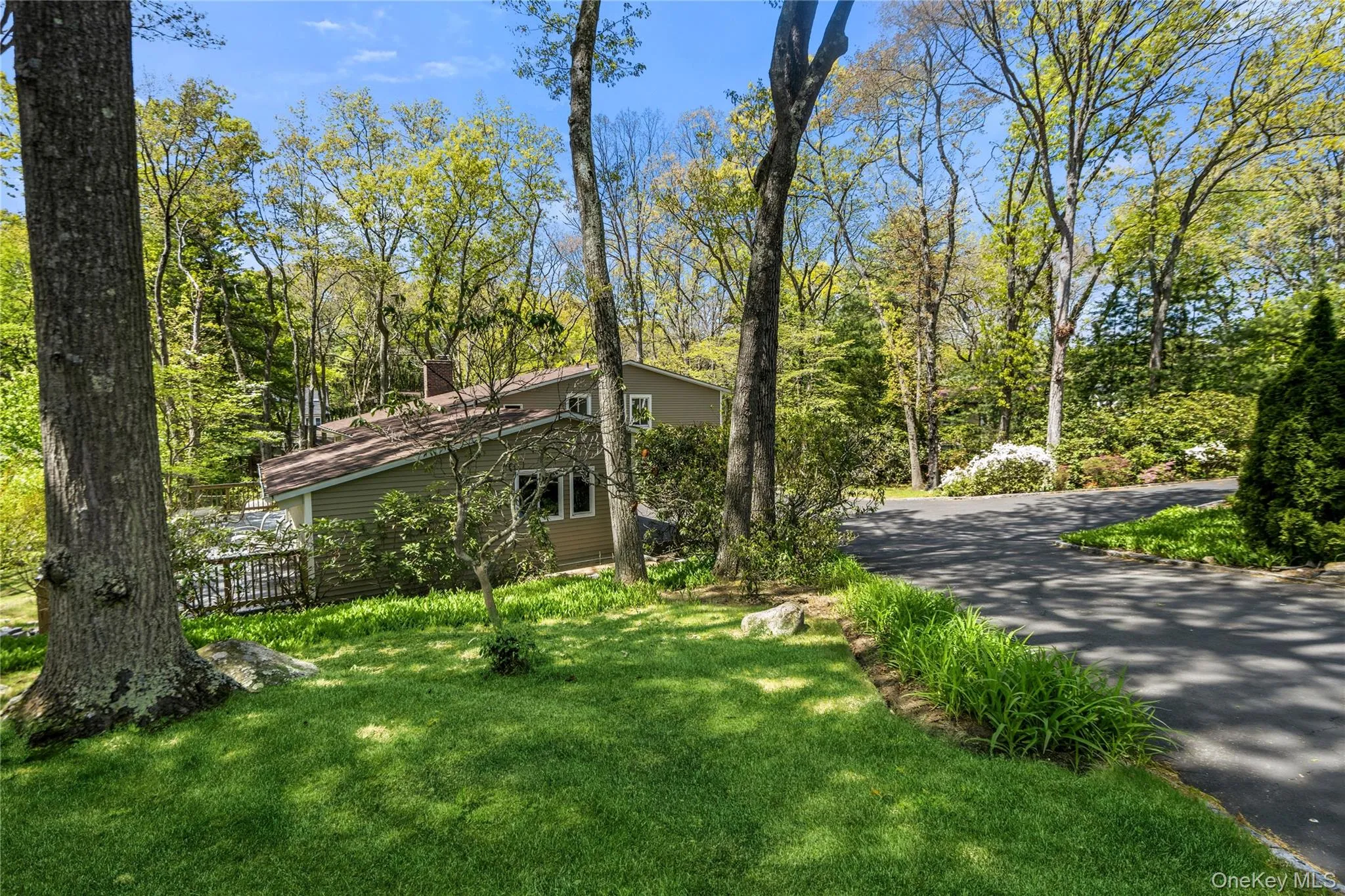 Wooded lot featuring mature trees, a manicured lawn, and an asphalt driveway Wooded lot featuring mature trees, a manicured lawn, and an asphalt driveway