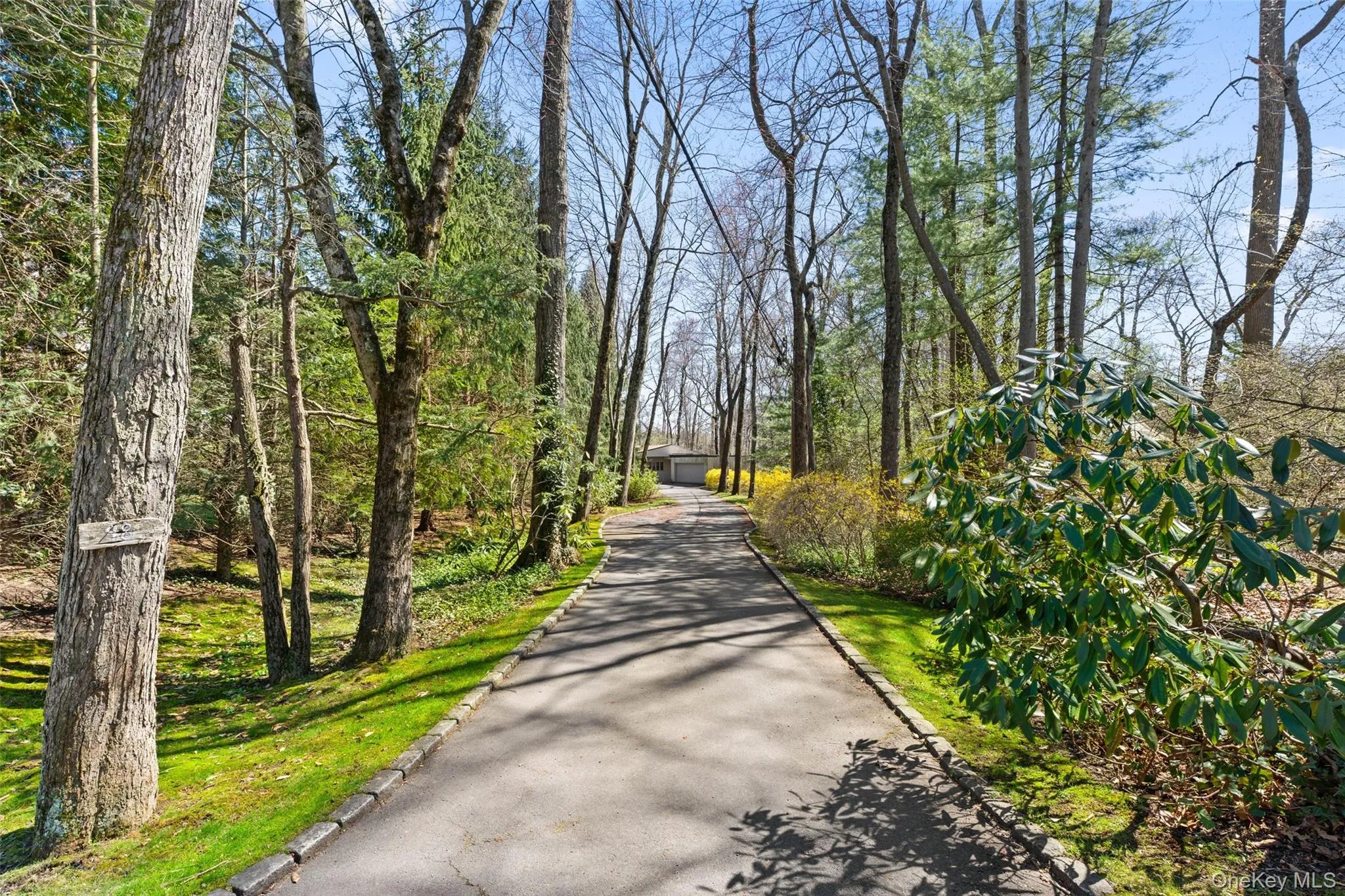 98 Cushman Road, Scarsdale, NY, 5 Bedrooms Bedrooms, 10 Rooms Rooms,4 BathroomsBathrooms,Residential Sale,For Rent,Cushman,0,971358 98 Cushman Road, Scarsdale, NY, 5 Bedrooms Bedrooms, 10 Rooms Rooms,4 BathroomsBathrooms,Residential Sale,For Rent,Cushman,0,971358