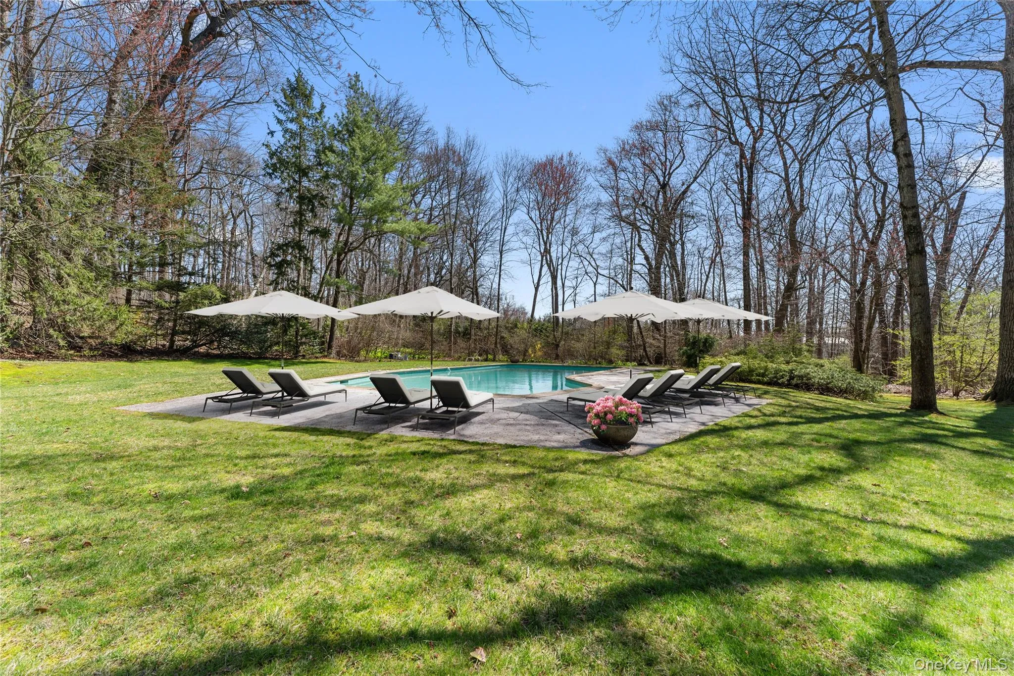 98 Cushman Road, Scarsdale, NY, 5 Bedrooms Bedrooms, 10 Rooms Rooms,4 BathroomsBathrooms,Residential Sale,For Rent,Cushman,0,971358 98 Cushman Road, Scarsdale, NY, 5 Bedrooms Bedrooms, 10 Rooms Rooms,4 BathroomsBathrooms,Residential Sale,For Rent,Cushman,0,971358