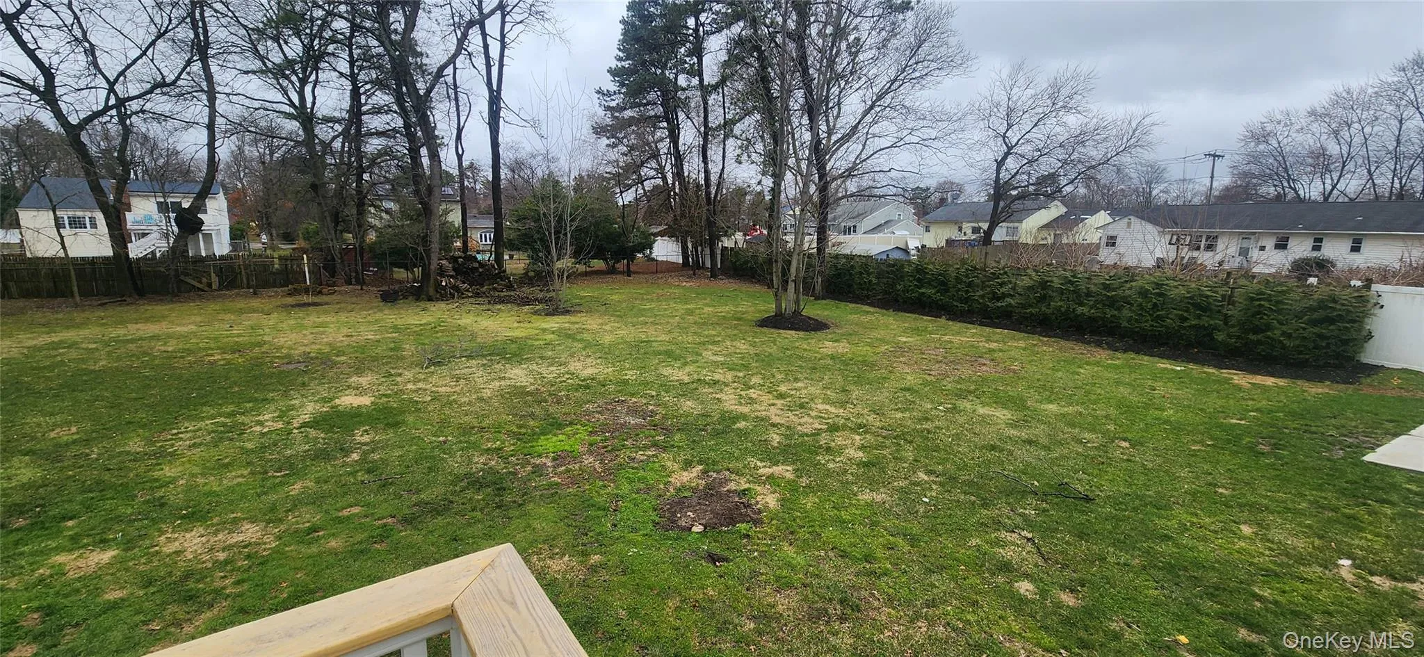 Backyard Backyard