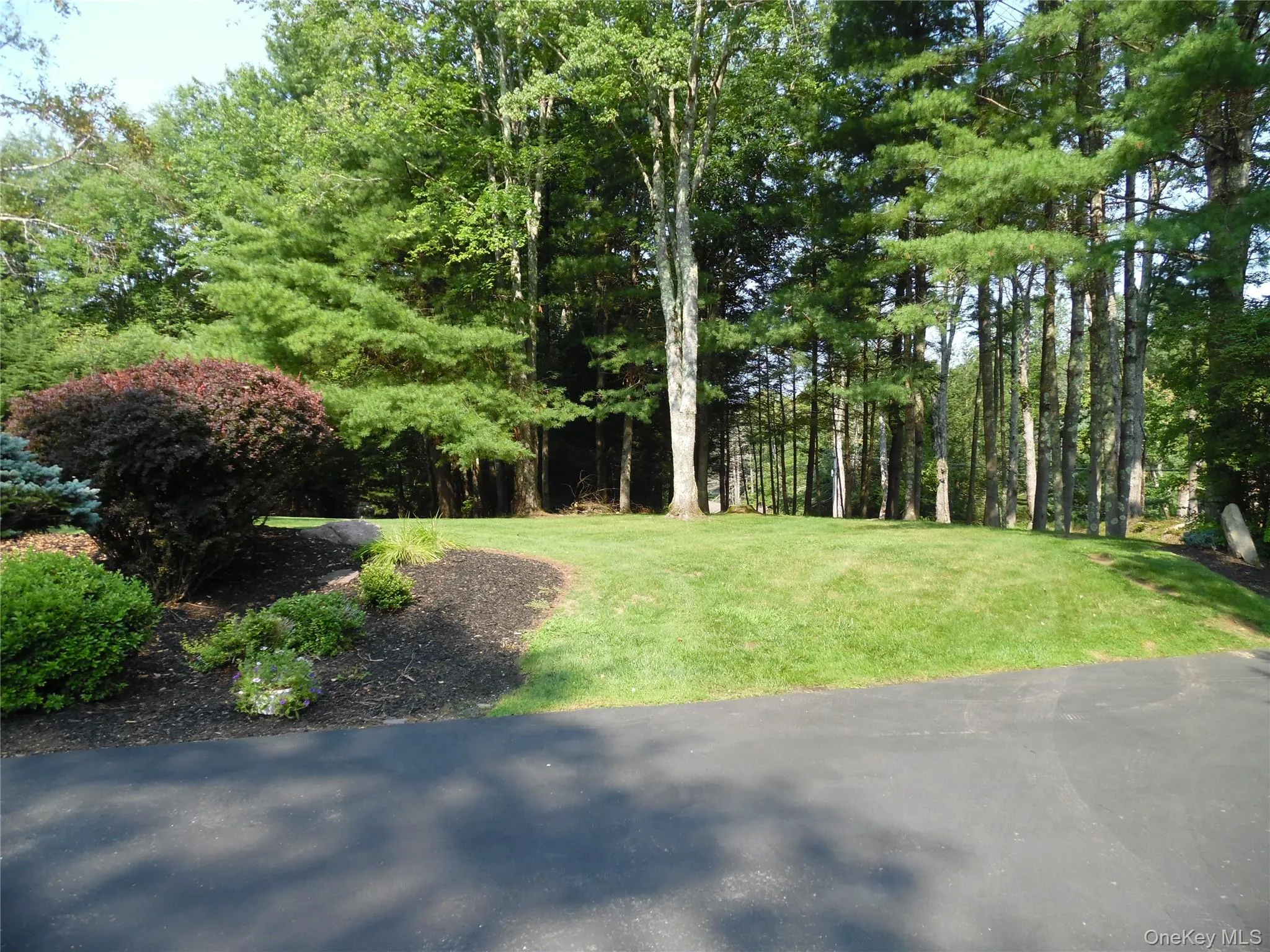 Front lawn Front lawn