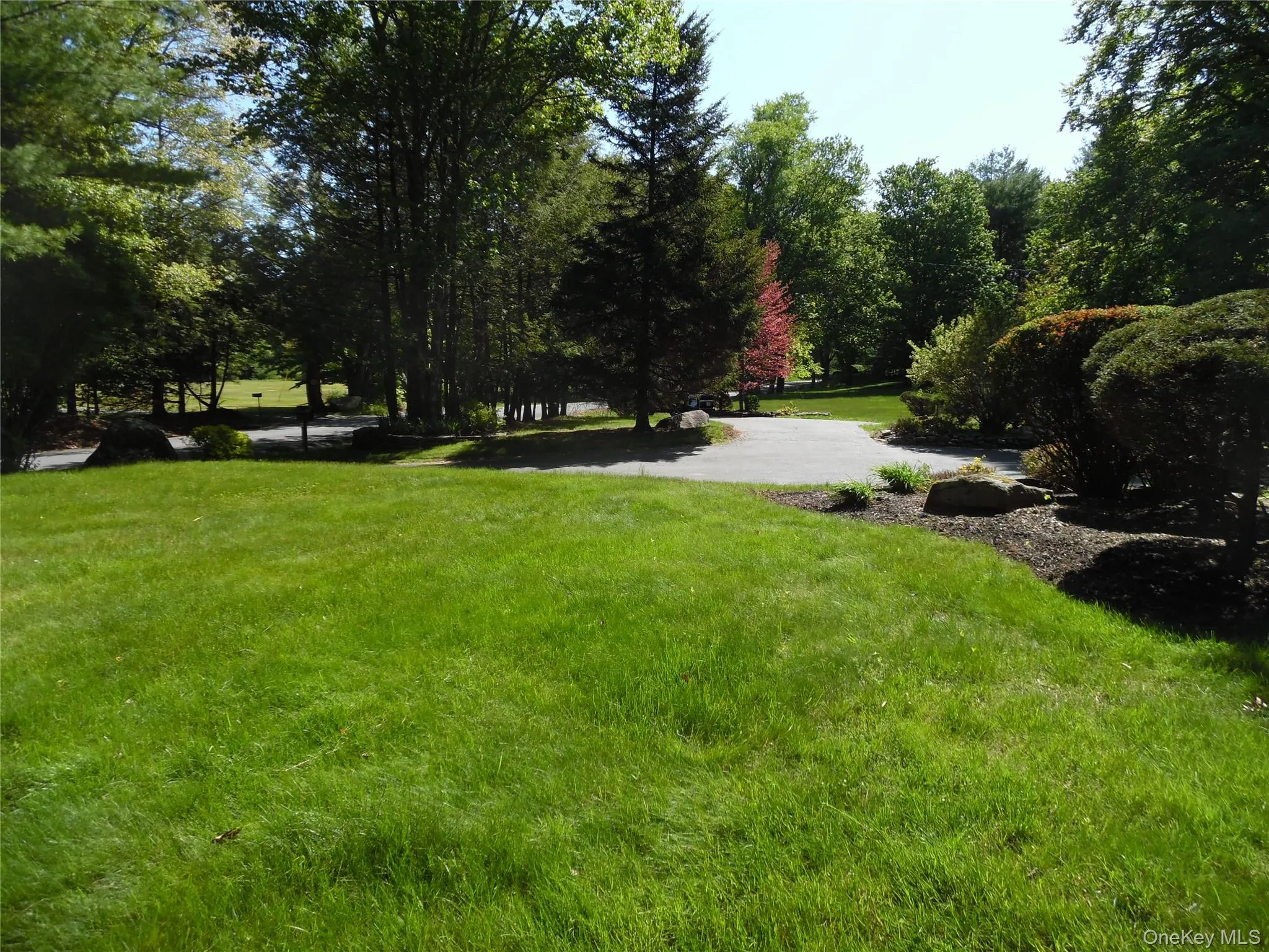 Front lawn Front lawn
