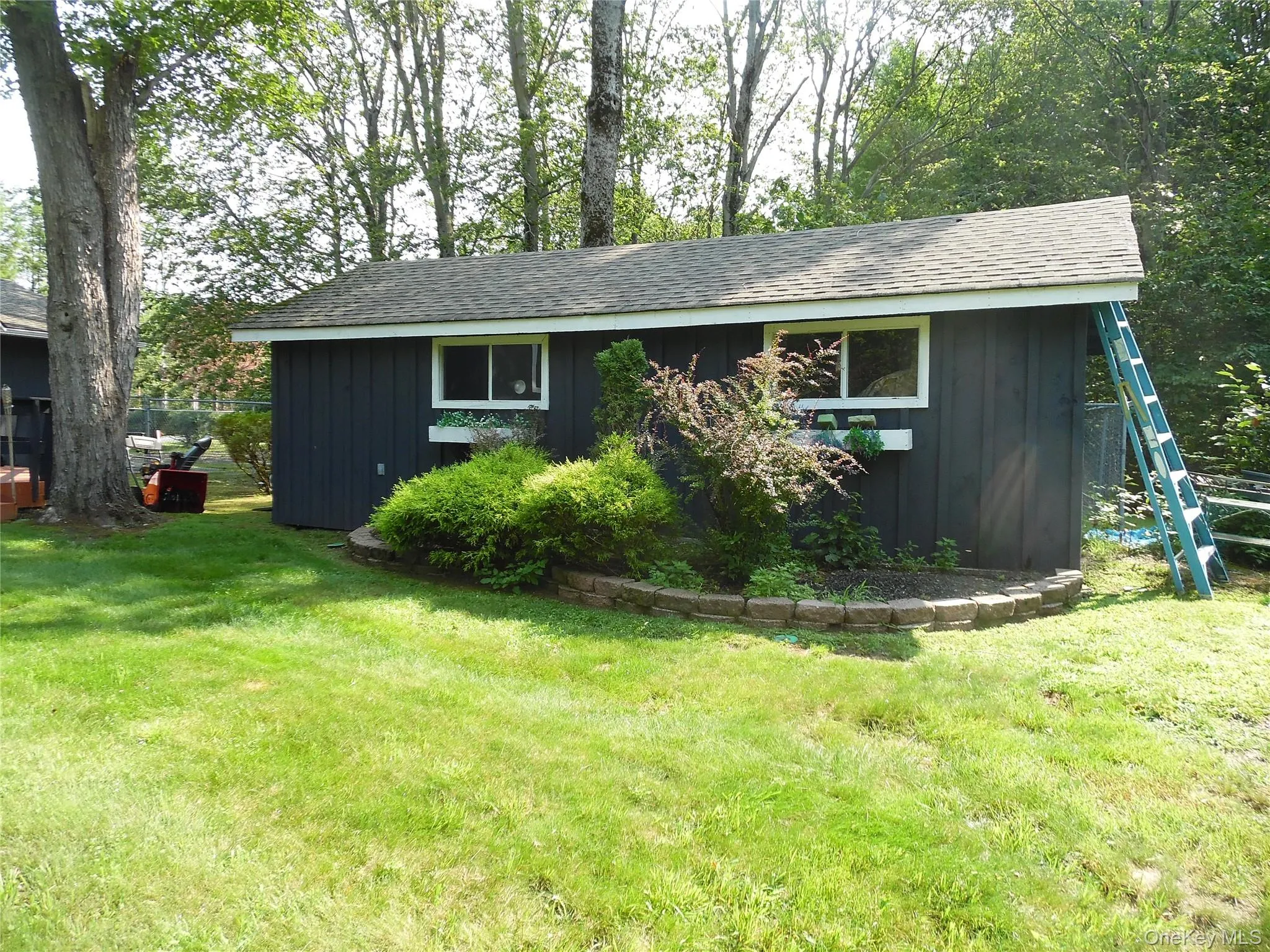 Detached outbuilding with dark panel siding, two windows with white trim, and a shingled roof Detached outbuilding with dark panel siding, two windows with white trim, and a shingled roof