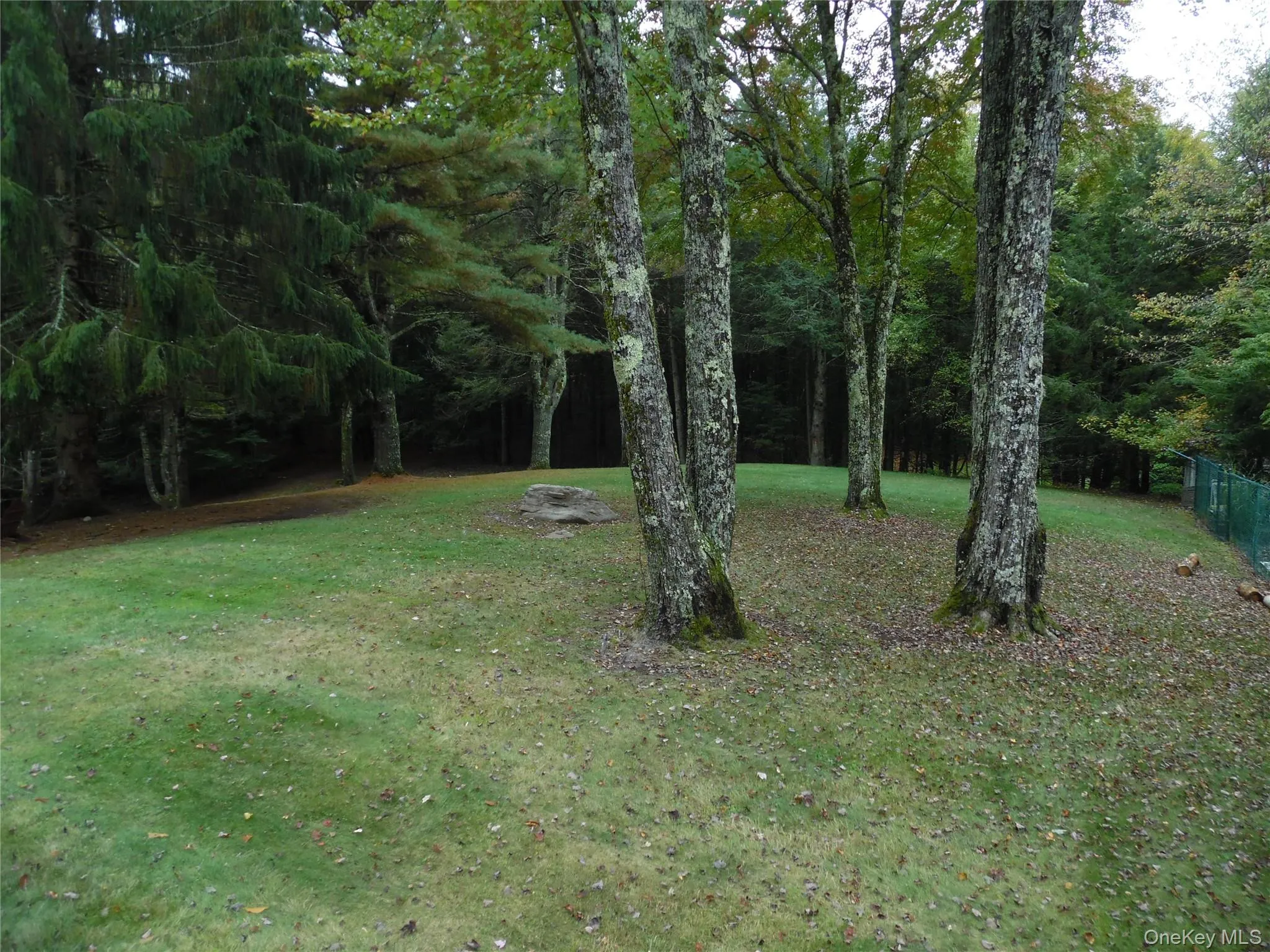 Back lawn Back lawn