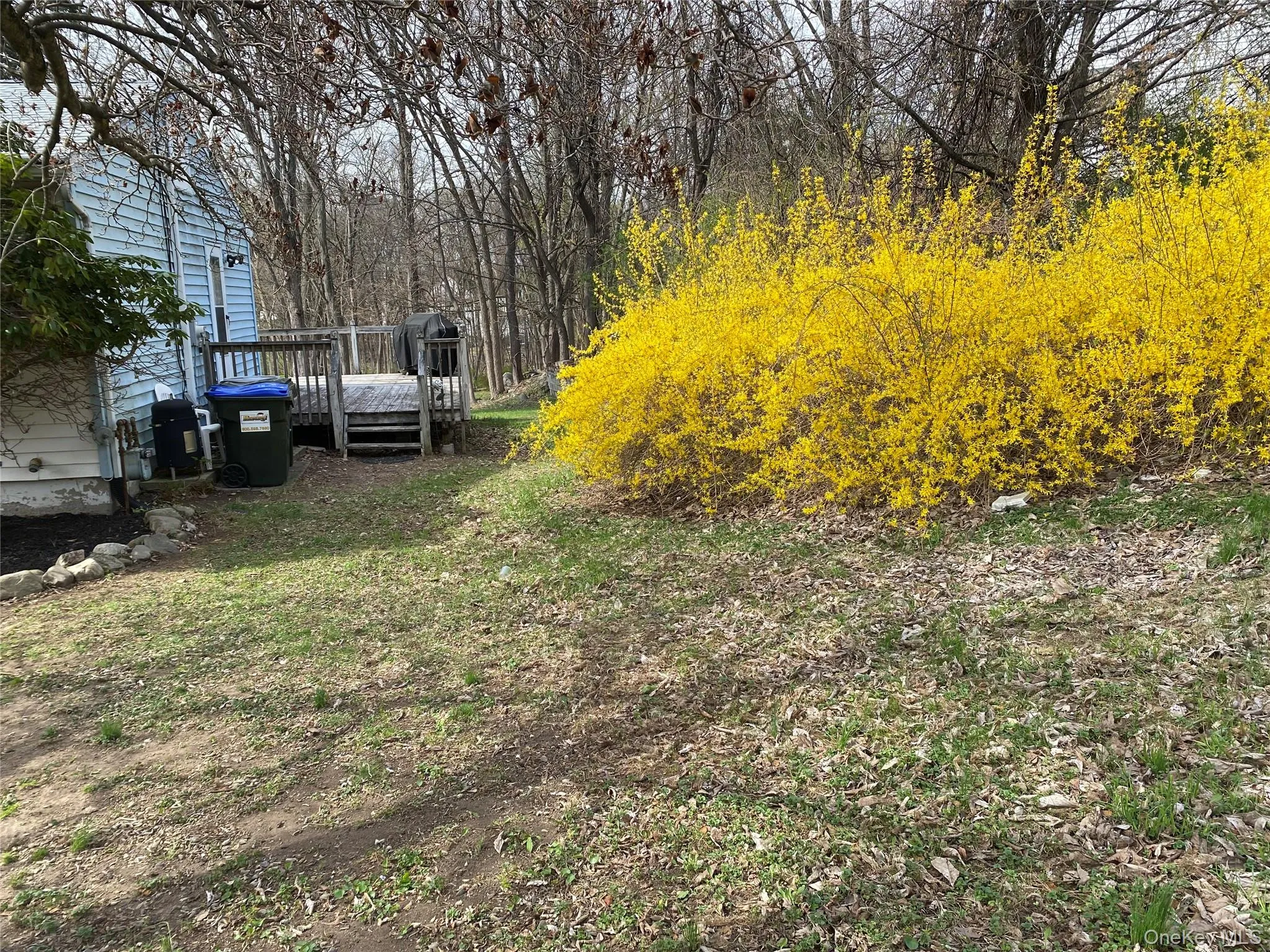 43 Duelk Avenue, Monroe, NY, 4 Bedrooms Bedrooms, 7 Rooms Rooms,1 BathroomBathrooms,Residential Sale,For Rent,Duelk,0,971682 43 Duelk Avenue, Monroe, NY, 4 Bedrooms Bedrooms, 7 Rooms Rooms,1 BathroomBathrooms,Residential Sale,For Rent,Duelk,0,971682