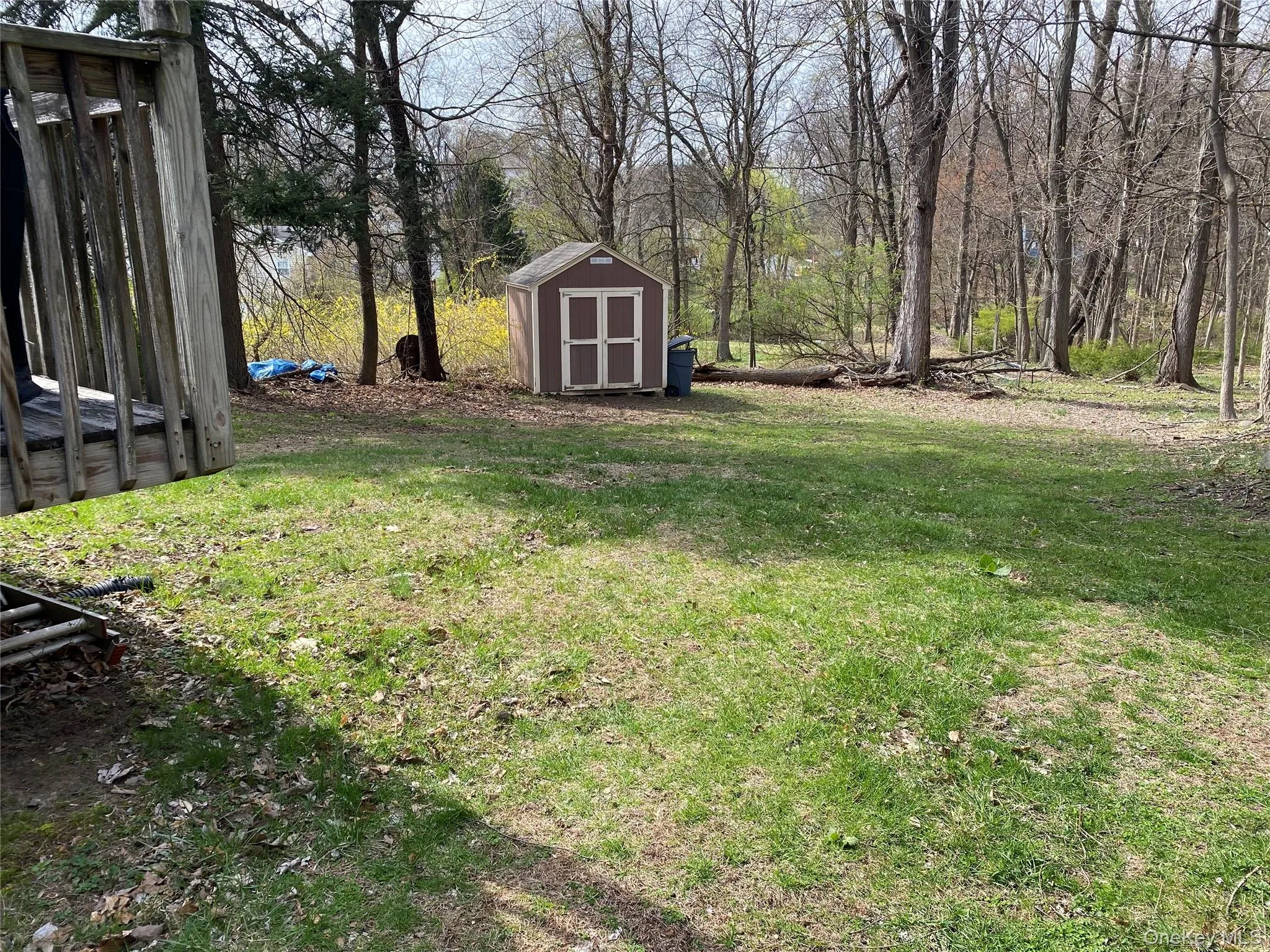 Backyard with Storage Shed Backyard with Storage Shed