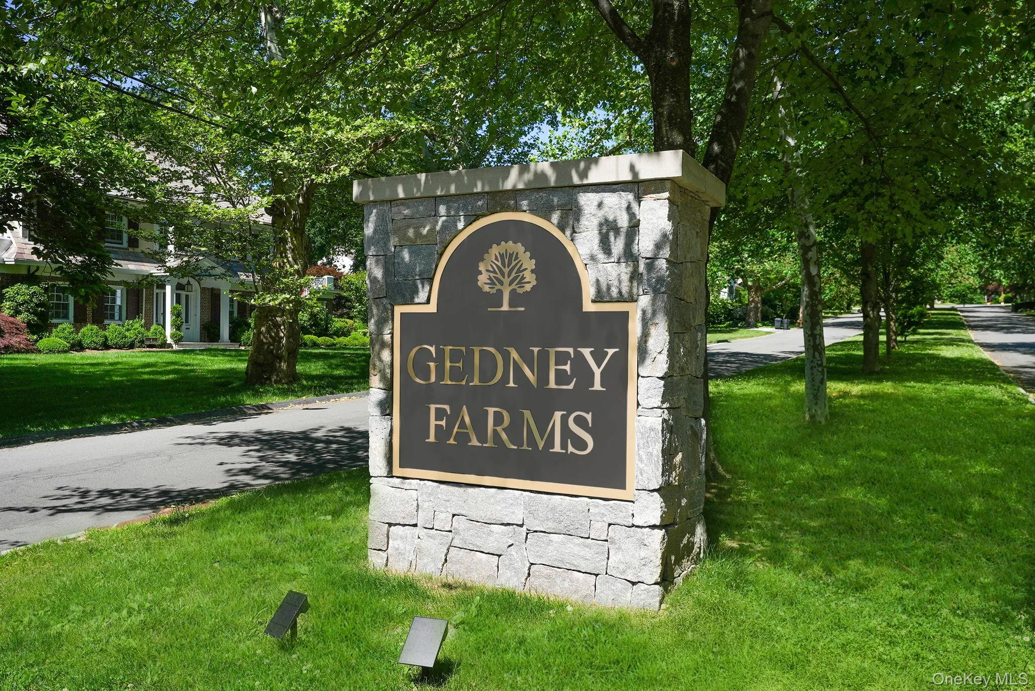 3 Dupont Avenue, White Plains, NY, 3 Bedrooms Bedrooms, 7 Rooms Rooms,2 BathroomsBathrooms,Residential,For Rent,Dupont,0,971728 3 Dupont Avenue, White Plains, NY, 3 Bedrooms Bedrooms, 7 Rooms Rooms,2 BathroomsBathrooms,Residential,For Rent,Dupont,0,971728