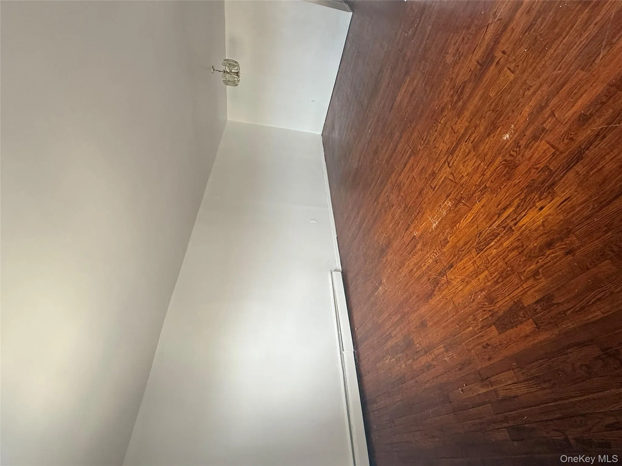 259-54 Craft Avenue, New York, NY, 3 Bedrooms Bedrooms, 7 Rooms Rooms,1 BathroomBathrooms,Residential Lease,For Rent,Craft,0,971788 259-54 Craft Avenue, New York, NY, 3 Bedrooms Bedrooms, 7 Rooms Rooms,1 BathroomBathrooms,Residential Lease,For Rent,Craft,0,971788