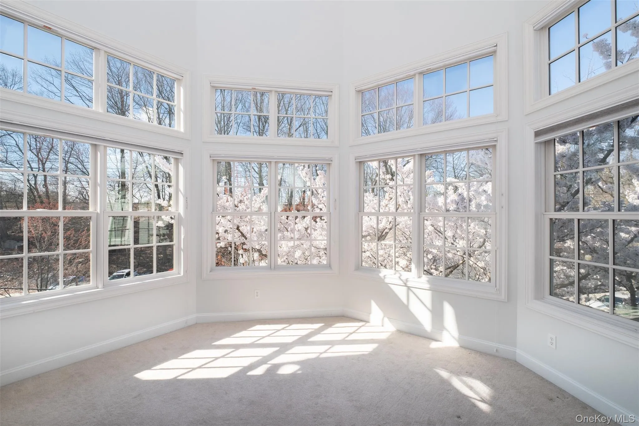 The cherry blossoms in bloom. Spectacularfrom this bedroom. The cherry blossoms in bloom. Spectacularfrom this bedroom.
