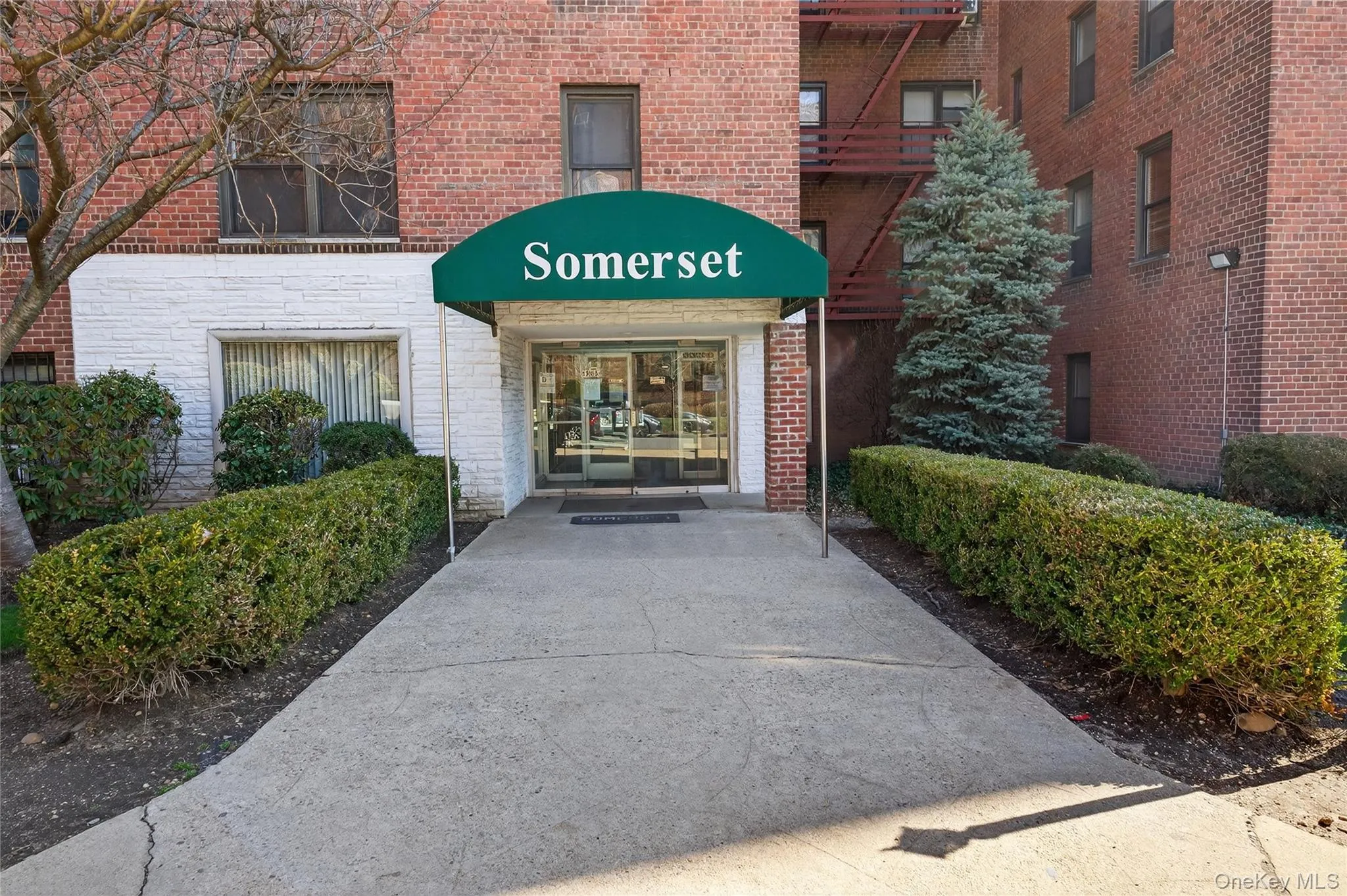 8385 116th Street, New York, NY, 2 Bedrooms Bedrooms, 5 Rooms Rooms,1 BathroomBathrooms,Residential Sale,For Rent,116th,0,971804 8385 116th Street, New York, NY, 2 Bedrooms Bedrooms, 5 Rooms Rooms,1 BathroomBathrooms,Residential Sale,For Rent,116th,0,971804