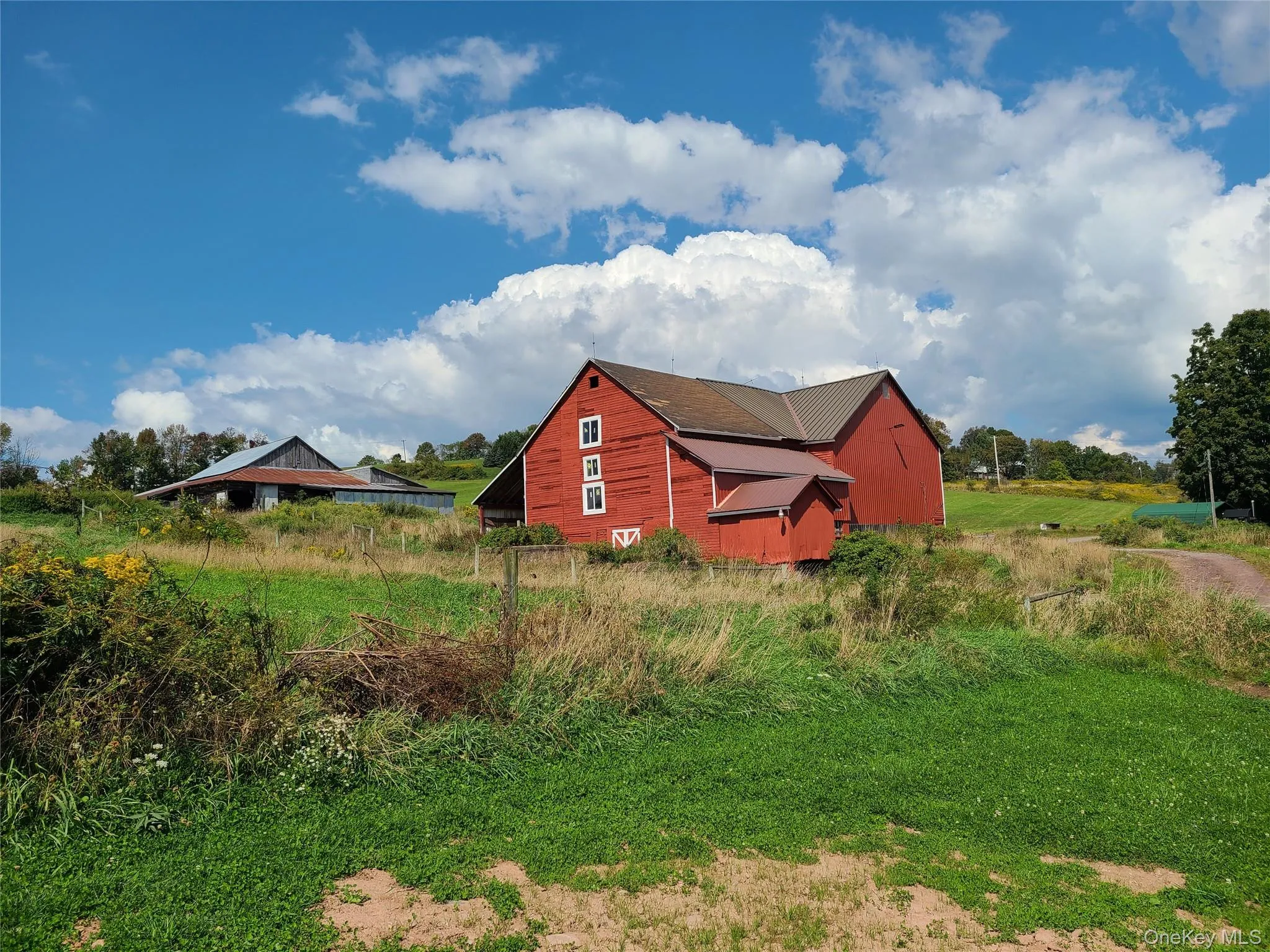 Barn Barn
