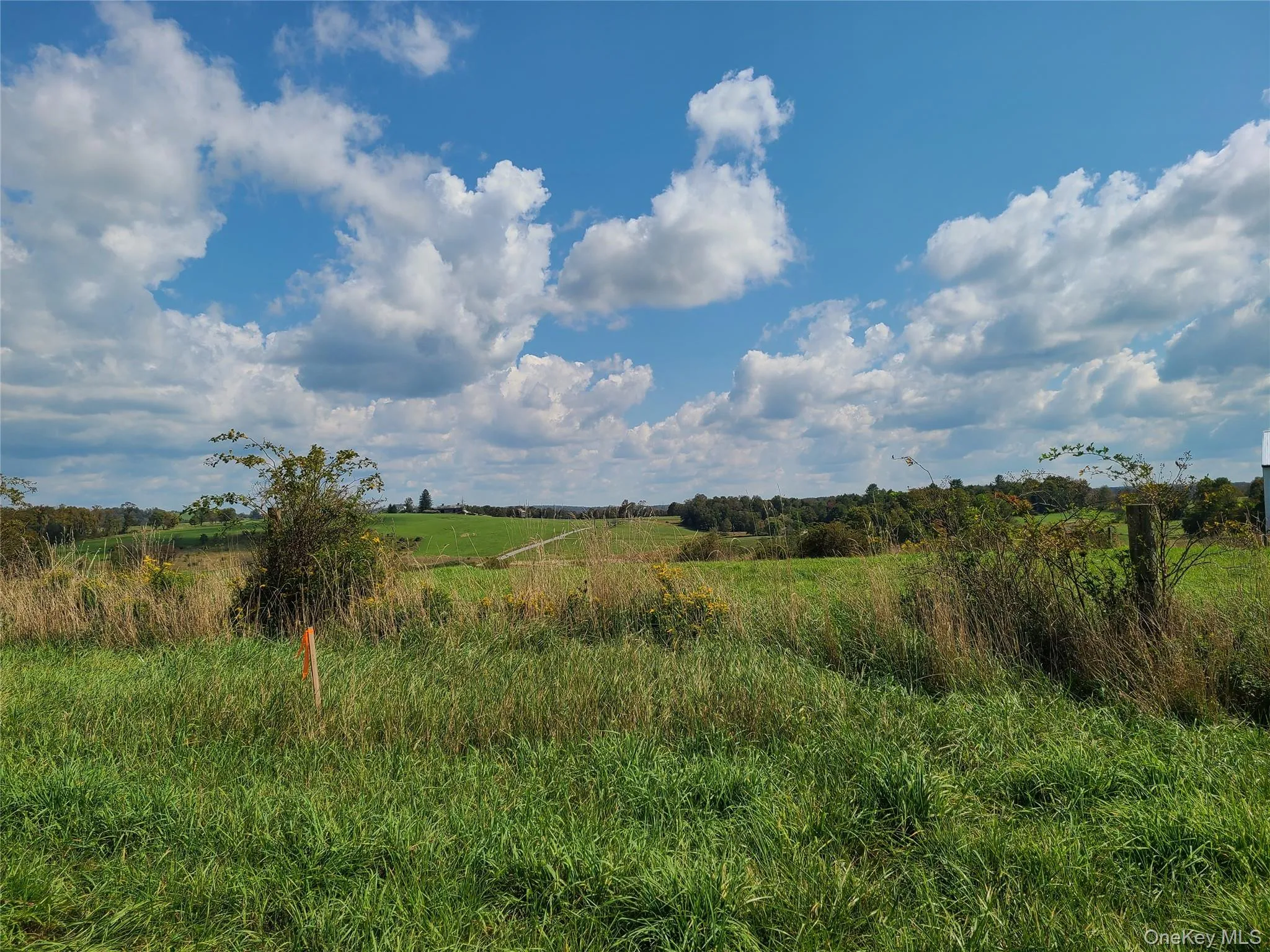 View of local wilderness featuring a rural view View of local wilderness featuring a rural view