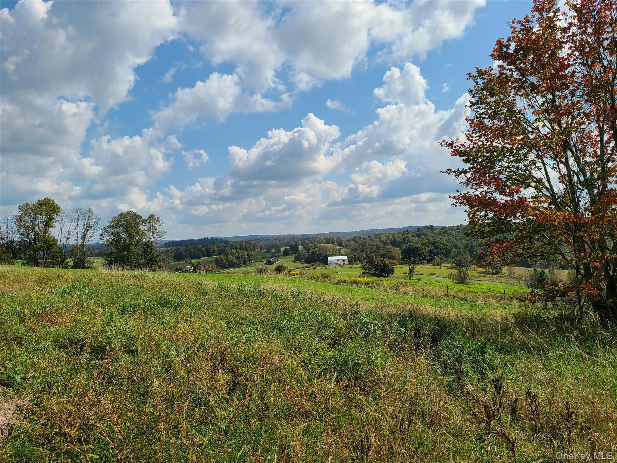 Lovely lots, lovely location Lovely lots, lovely location