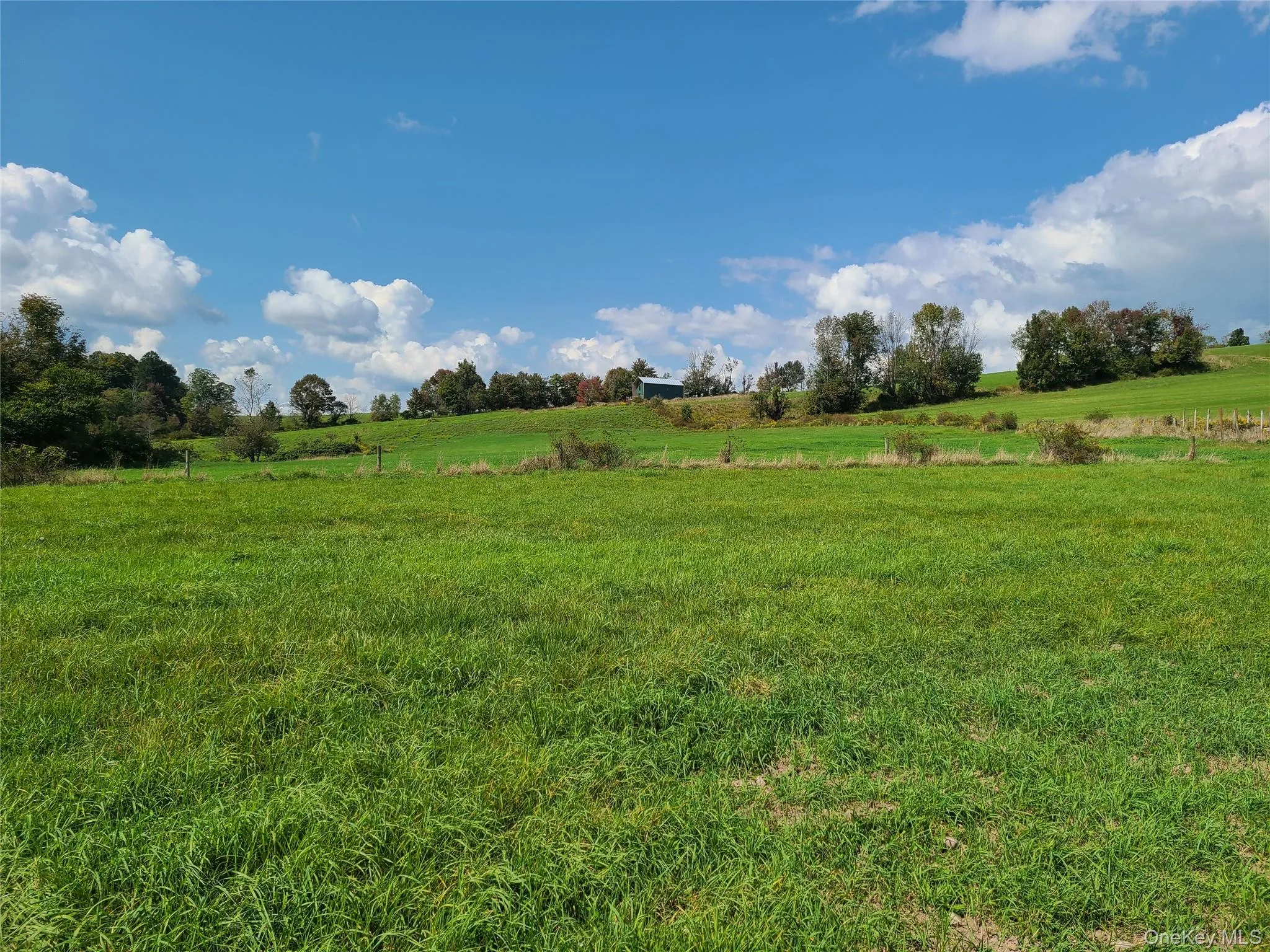 View of yard with a rural view View of yard with a rural view
