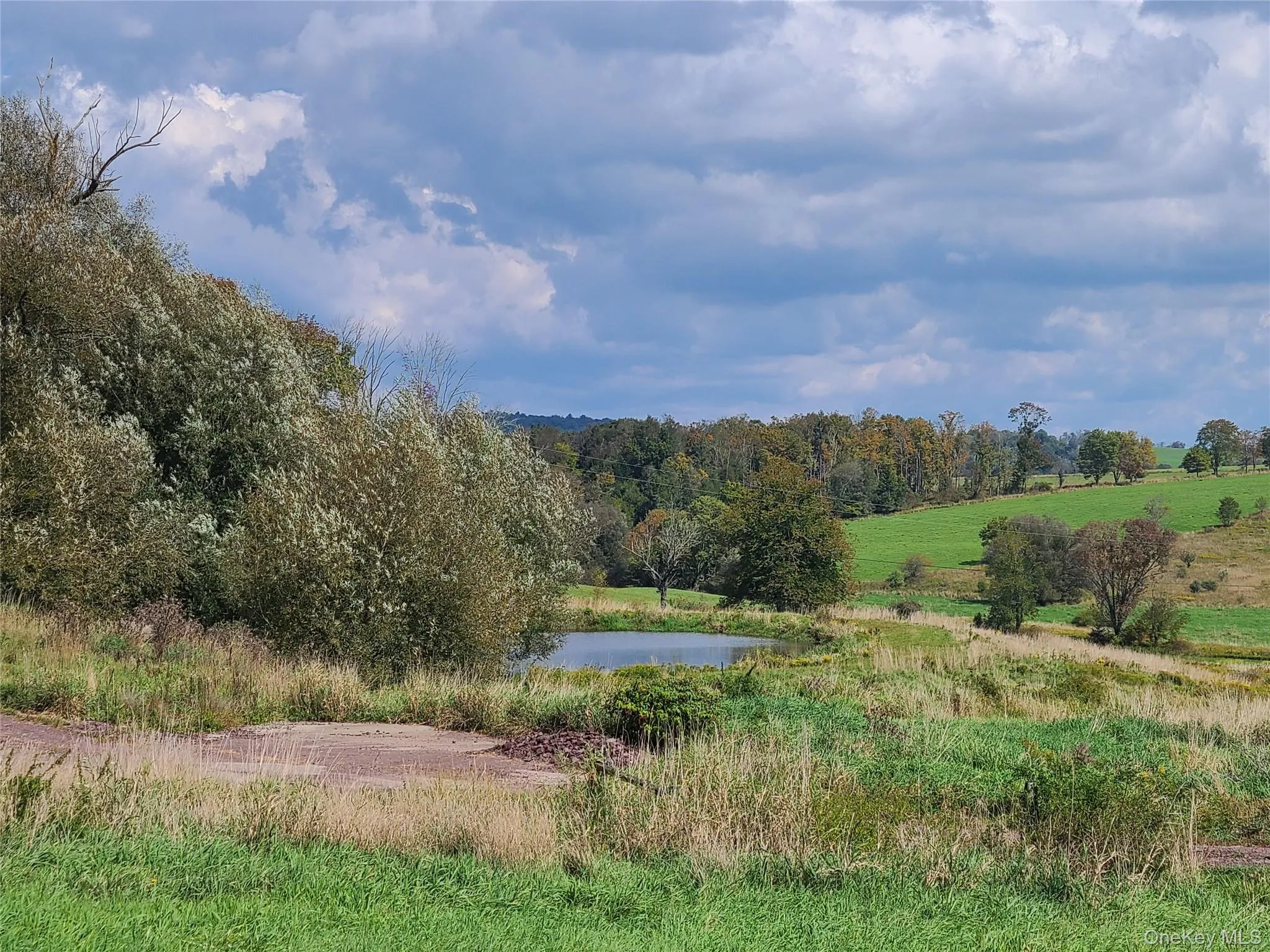 View of local wilderness with a rural view and a water view View of local wilderness with a rural view and a water view