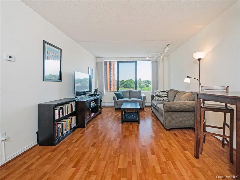 Welcome to #514. Large windows let in natural light Welcome to #514. Large windows let in natural light