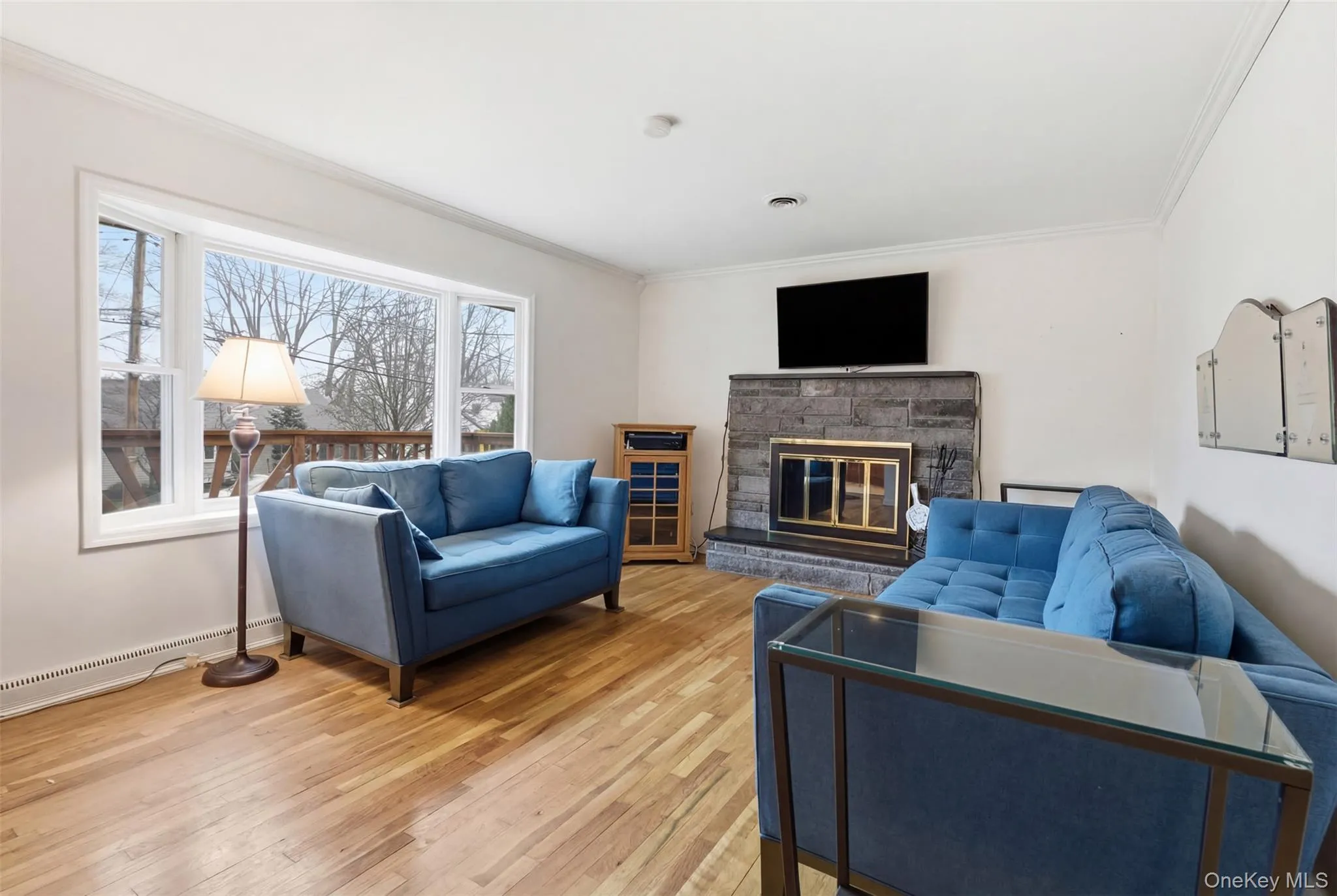 Living area with a glass covered fireplace, light wood-style flooring, crown molding, and baseboard heating Living area with a glass covered fireplace, light wood-style flooring, crown molding, and baseboard heating