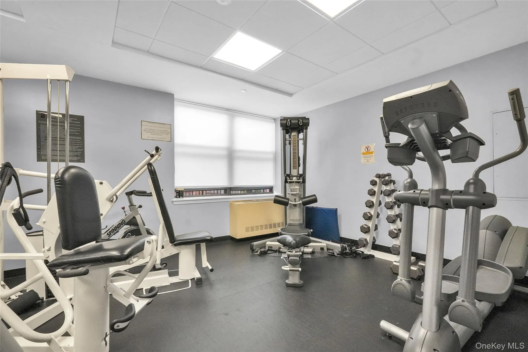 837 Washington Avenue, New York, NY, 1 Bedroom Bedrooms, 3 Rooms Rooms,1 BathroomBathrooms,Residential Sale,For Rent,Washington,0,972231 837 Washington Avenue, New York, NY, 1 Bedroom Bedrooms, 3 Rooms Rooms,1 BathroomBathrooms,Residential Sale,For Rent,Washington,0,972231