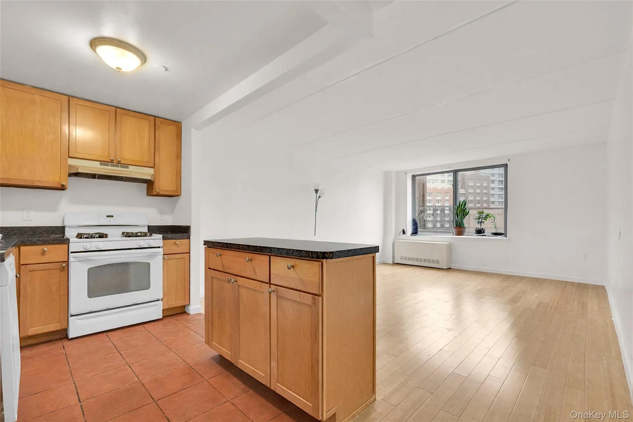 837 Washington Avenue, New York, NY, 1 Bedroom Bedrooms, 3 Rooms Rooms,1 BathroomBathrooms,Residential Sale,For Rent,Washington,0,972231 837 Washington Avenue, New York, NY, 1 Bedroom Bedrooms, 3 Rooms Rooms,1 BathroomBathrooms,Residential Sale,For Rent,Washington,0,972231