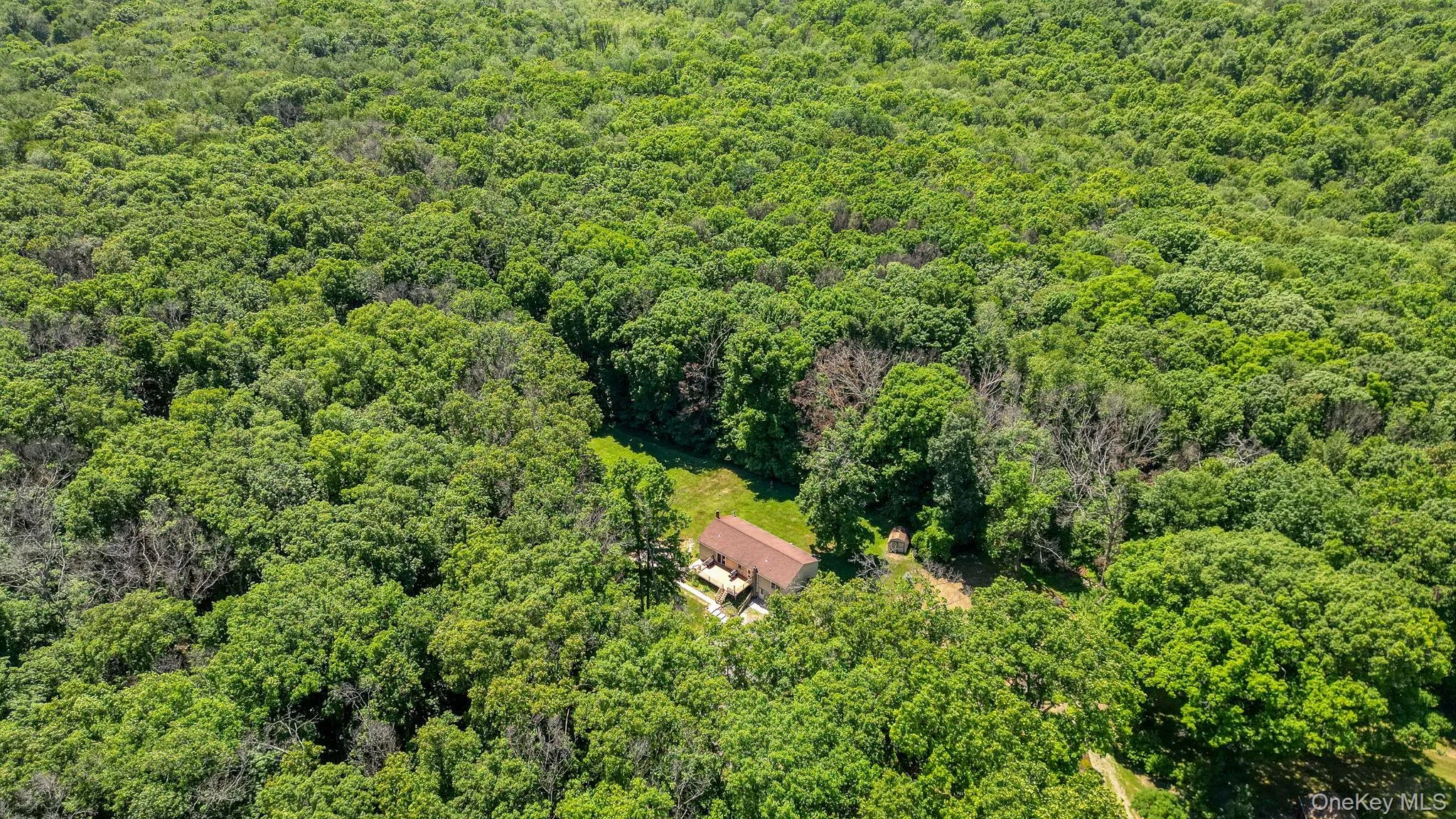 559 Hill Avenue, Crawford, NY, 3 Bedrooms Bedrooms, 8 Rooms Rooms,2 BathroomsBathrooms,Residential,For Rent,Hill,0,972302 559 Hill Avenue, Crawford, NY, 3 Bedrooms Bedrooms, 8 Rooms Rooms,2 BathroomsBathrooms,Residential,For Rent,Hill,0,972302