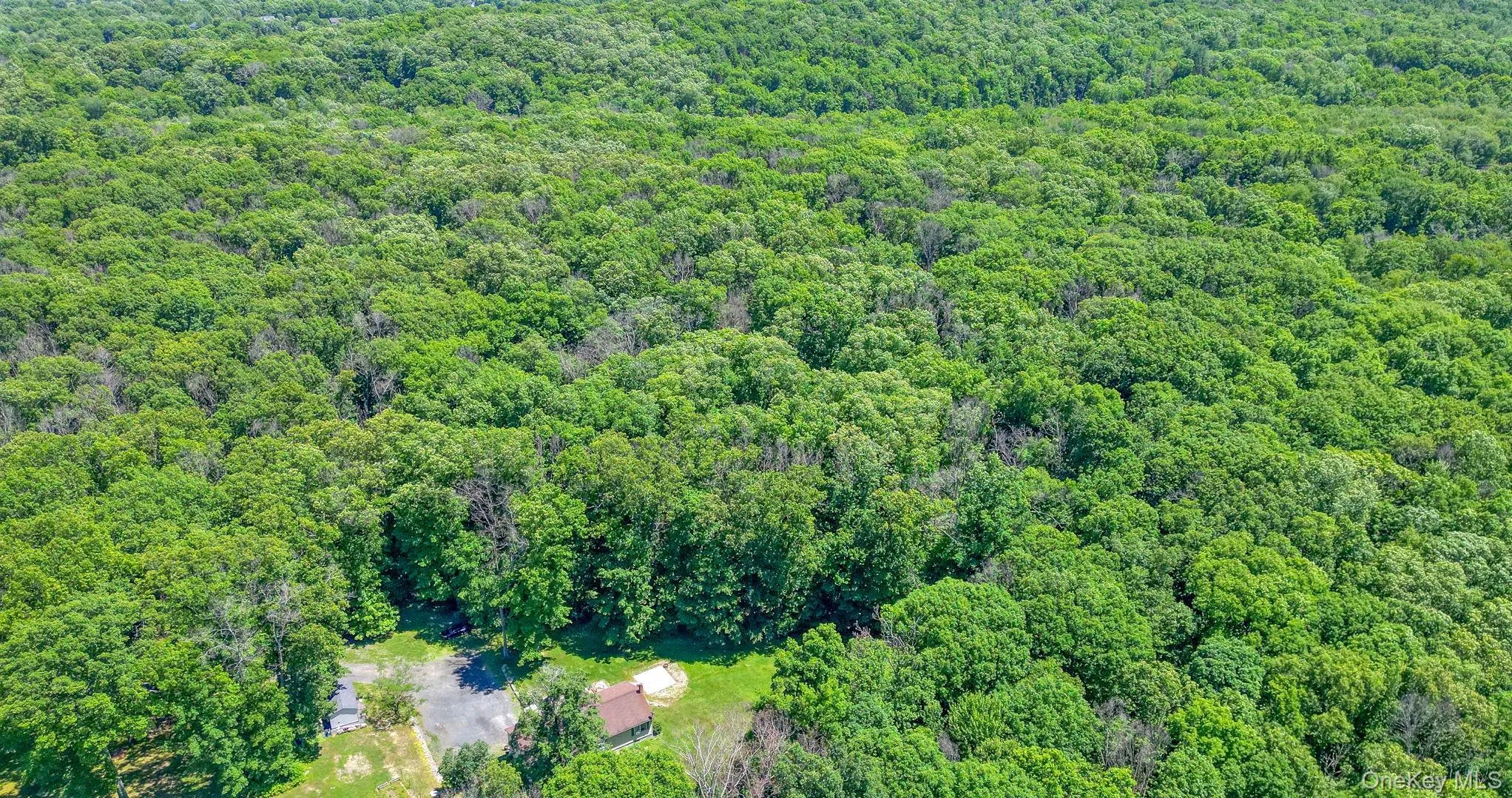 559 Hill Avenue, Crawford, NY, 3 Bedrooms Bedrooms, 8 Rooms Rooms,2 BathroomsBathrooms,Residential,For Rent,Hill,0,972302 559 Hill Avenue, Crawford, NY, 3 Bedrooms Bedrooms, 8 Rooms Rooms,2 BathroomsBathrooms,Residential,For Rent,Hill,0,972302