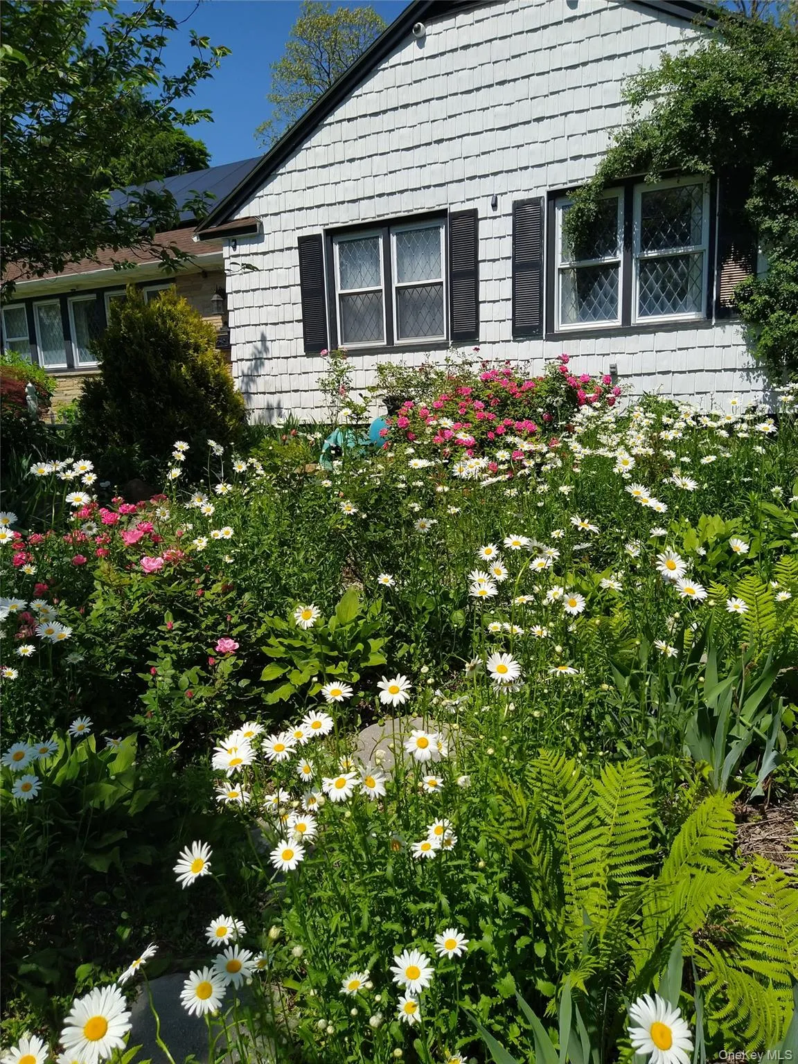 1155 Webster Avenue, New Rochelle, NY, 4 Bedrooms Bedrooms, 16 Rooms Rooms,4 BathroomsBathrooms,Residential,For Rent,Webster,0,972348 1155 Webster Avenue, New Rochelle, NY, 4 Bedrooms Bedrooms, 16 Rooms Rooms,4 BathroomsBathrooms,Residential,For Rent,Webster,0,972348