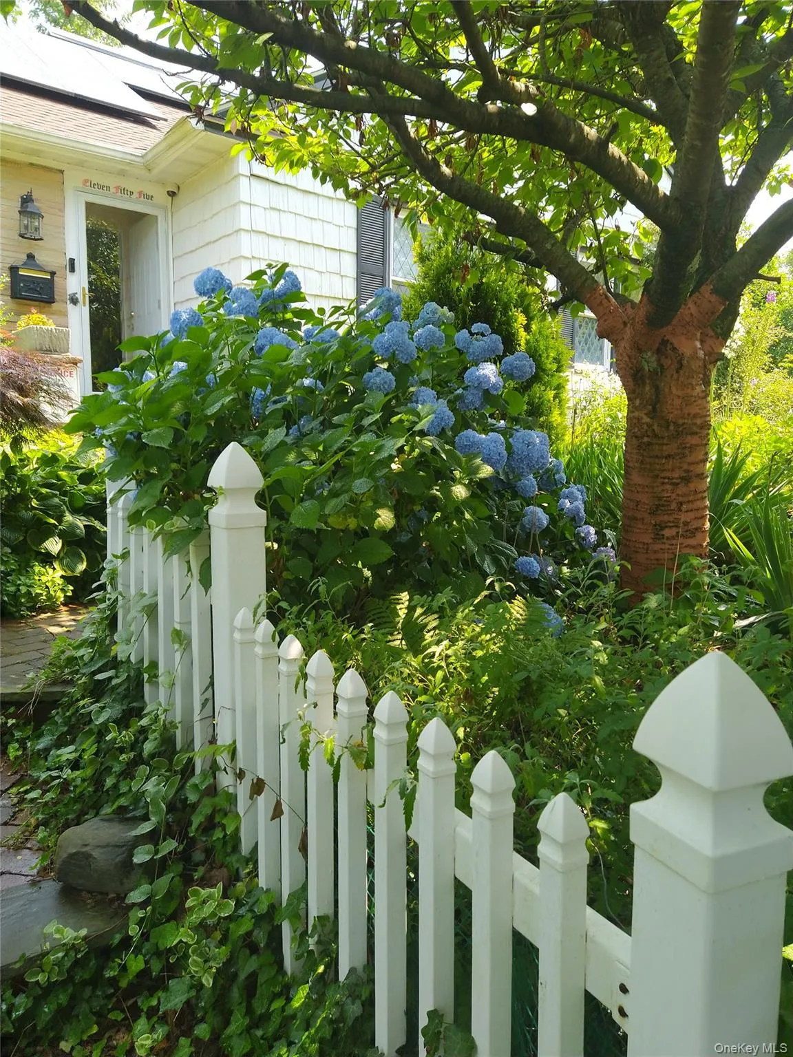 1155 Webster Avenue, New Rochelle, NY, 4 Bedrooms Bedrooms, 16 Rooms Rooms,4 BathroomsBathrooms,Residential,For Rent,Webster,0,972348 1155 Webster Avenue, New Rochelle, NY, 4 Bedrooms Bedrooms, 16 Rooms Rooms,4 BathroomsBathrooms,Residential,For Rent,Webster,0,972348
