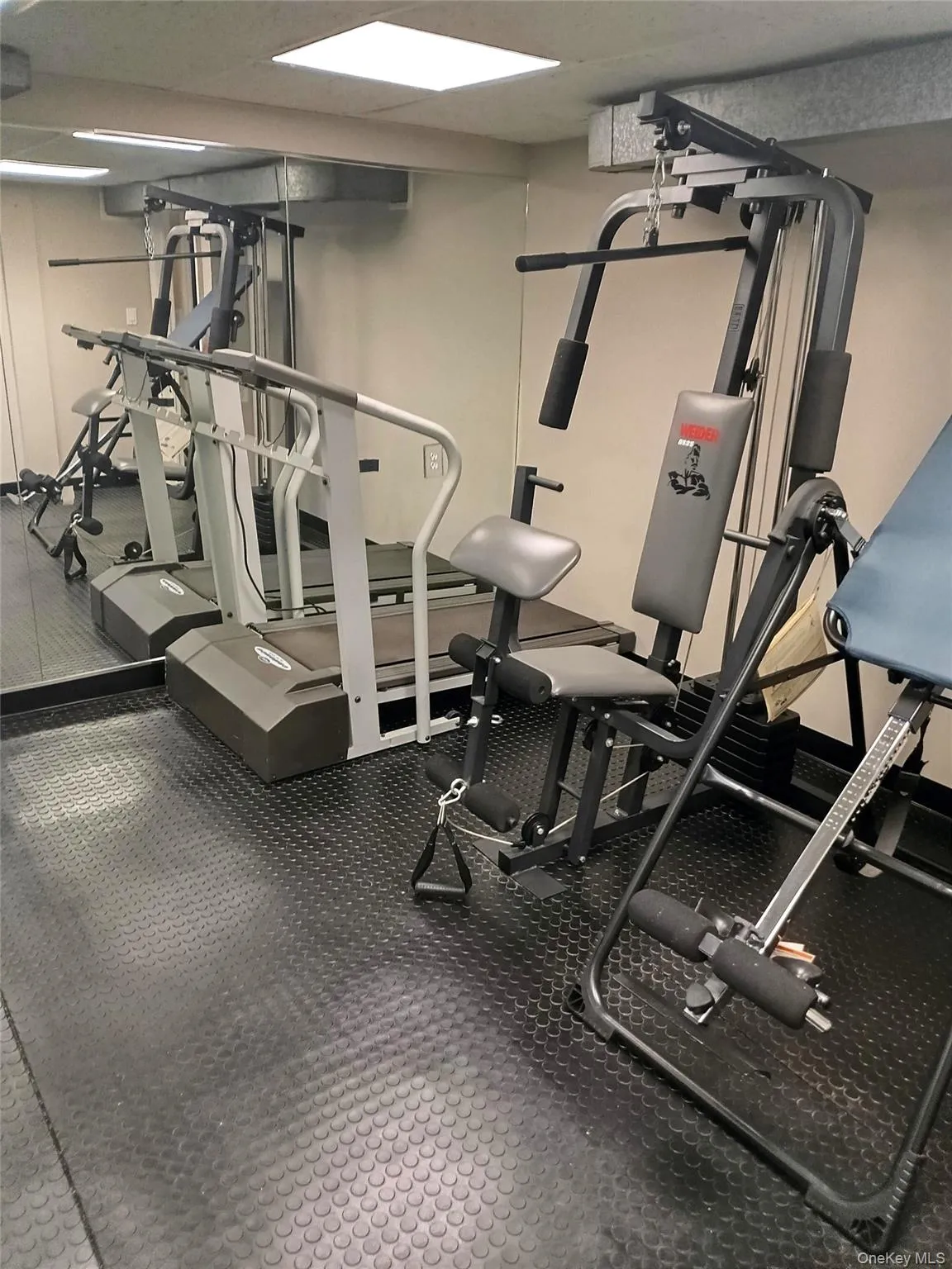 1155 Webster Avenue, New Rochelle, NY, 4 Bedrooms Bedrooms, 16 Rooms Rooms,4 BathroomsBathrooms,Residential,For Rent,Webster,0,972348 1155 Webster Avenue, New Rochelle, NY, 4 Bedrooms Bedrooms, 16 Rooms Rooms,4 BathroomsBathrooms,Residential,For Rent,Webster,0,972348