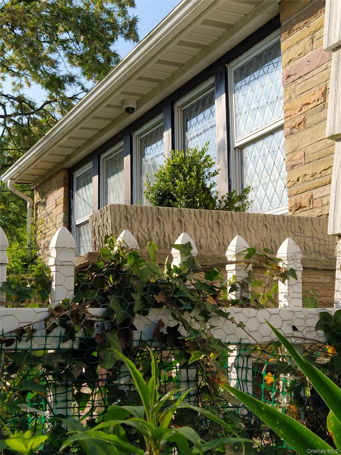 1155 Webster Avenue, New Rochelle, NY, 4 Bedrooms Bedrooms, 16 Rooms Rooms,4 BathroomsBathrooms,Residential,For Rent,Webster,0,972348 1155 Webster Avenue, New Rochelle, NY, 4 Bedrooms Bedrooms, 16 Rooms Rooms,4 BathroomsBathrooms,Residential,For Rent,Webster,0,972348