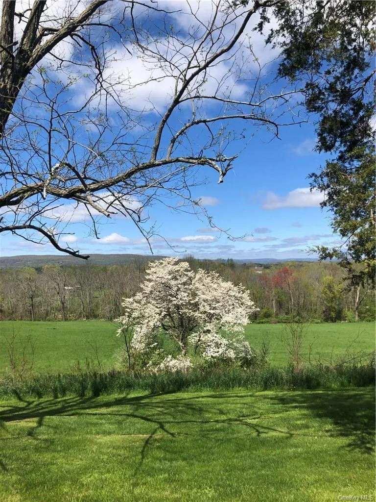 Flowering trees and orchard and sunny views!! Flowering trees and orchard and sunny views!!