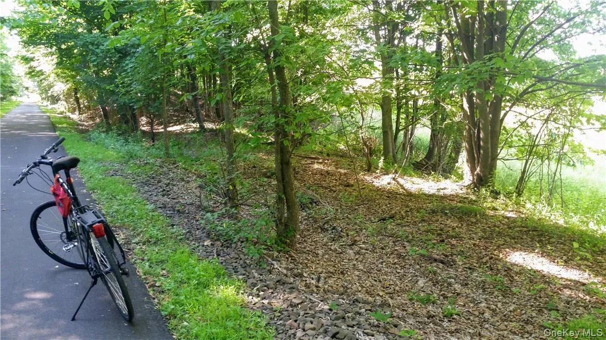 Looking toward Duck Farm Road but closer to the Otterkill than the previous photo, the property is on the right beyond the trees. At this point the railroad cut created an embankment on the left side of the trail which you'll see during your scheduled and confirmed visit. Looking toward Duck Farm Road but closer to the Otterkill than the previous photo, the property is on the right beyond the trees. At this point the railroad cut created an embankment on the left side of the trail which you'll see during your scheduled and confirmed visit.