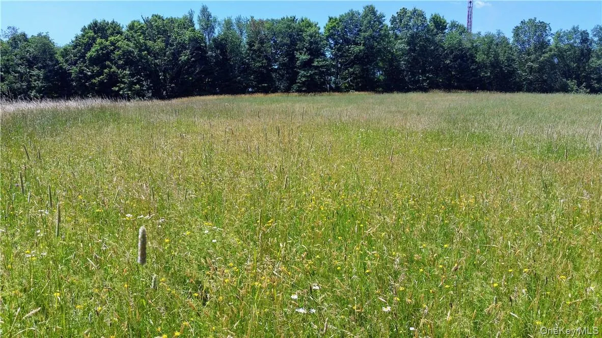 TBD Old Chester & Duck Farm Road, Goshen, NY, ,Land,For Rent,Old Chester & Duck Farm,0,972427 TBD Old Chester & Duck Farm Road, Goshen, NY, ,Land,For Rent,Old Chester & Duck Farm,0,972427