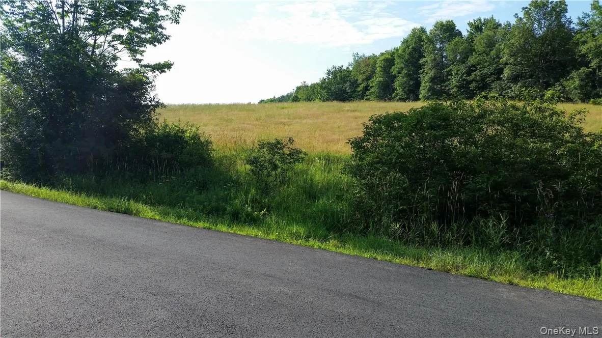 Looking approximately east from Duck Farm Road. Looking approximately east from Duck Farm Road.