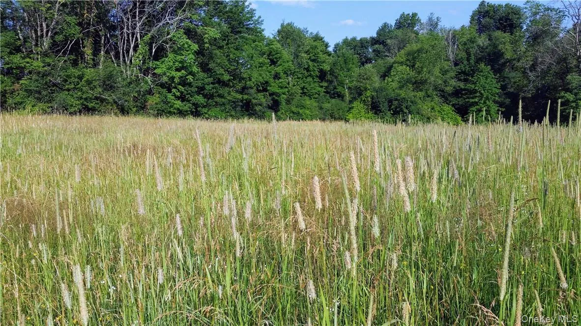 TBD Old Chester & Duck Farm Road, Goshen, NY, ,Land,For Rent,Old Chester & Duck Farm,0,972427 TBD Old Chester & Duck Farm Road, Goshen, NY, ,Land,For Rent,Old Chester & Duck Farm,0,972427