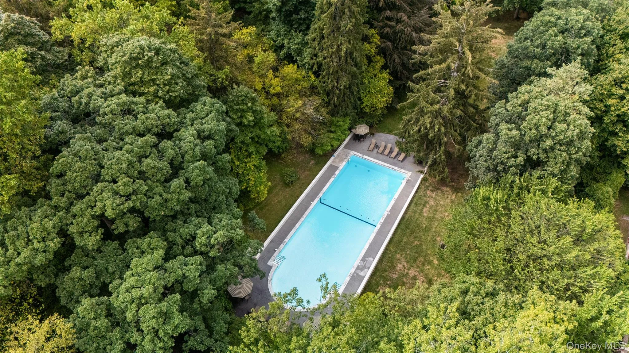 Beautiful Olympic sized pool Beautiful Olympic sized pool