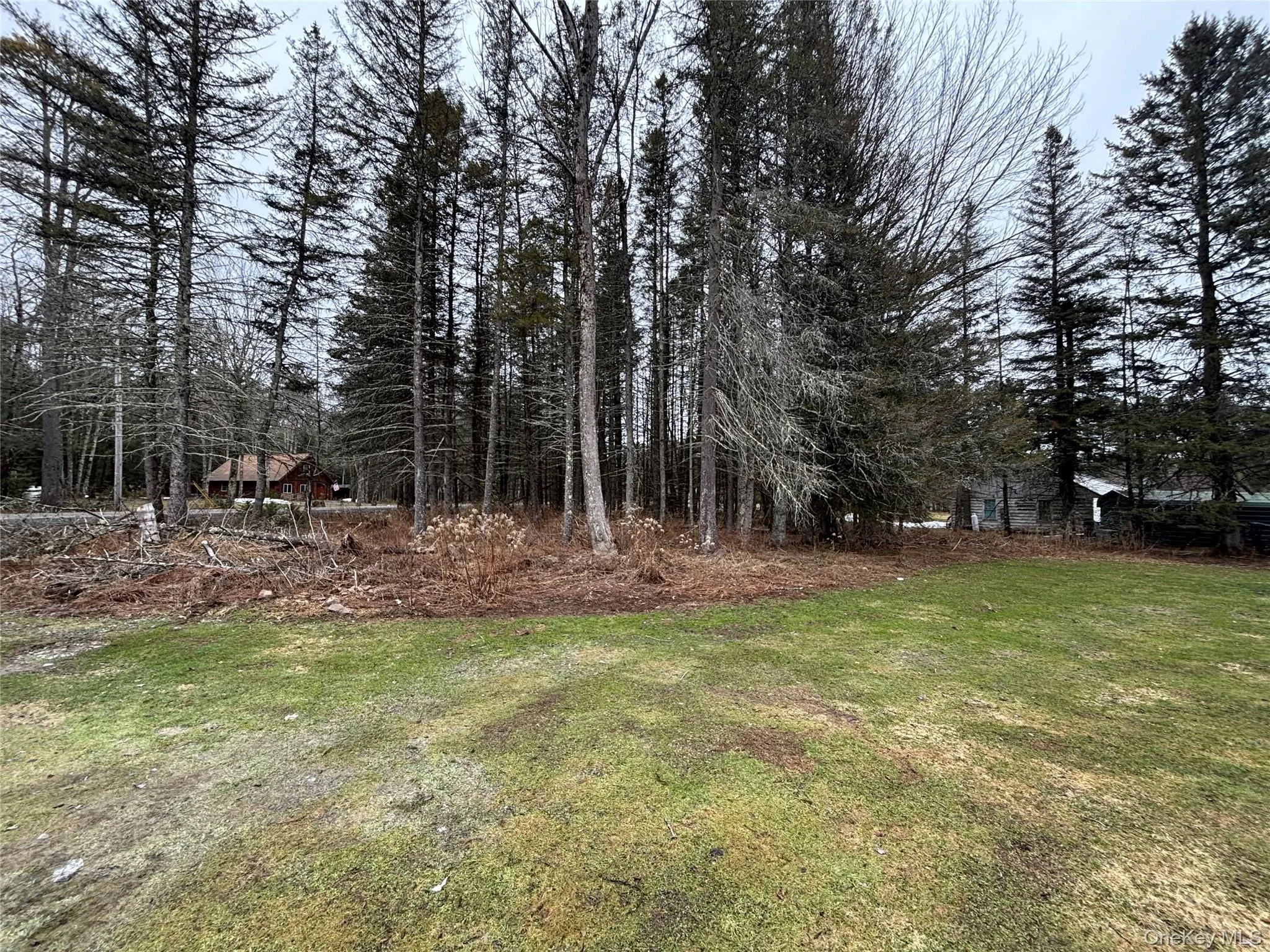 130 Bushville Swan Lake Road, Bethel, NY, 3 Bedrooms Bedrooms, 6 Rooms Rooms,1 BathroomBathrooms,Residential,For Rent,Bushville Swan Lake,0,972541 130 Bushville Swan Lake Road, Bethel, NY, 3 Bedrooms Bedrooms, 6 Rooms Rooms,1 BathroomBathrooms,Residential,For Rent,Bushville Swan Lake,0,972541