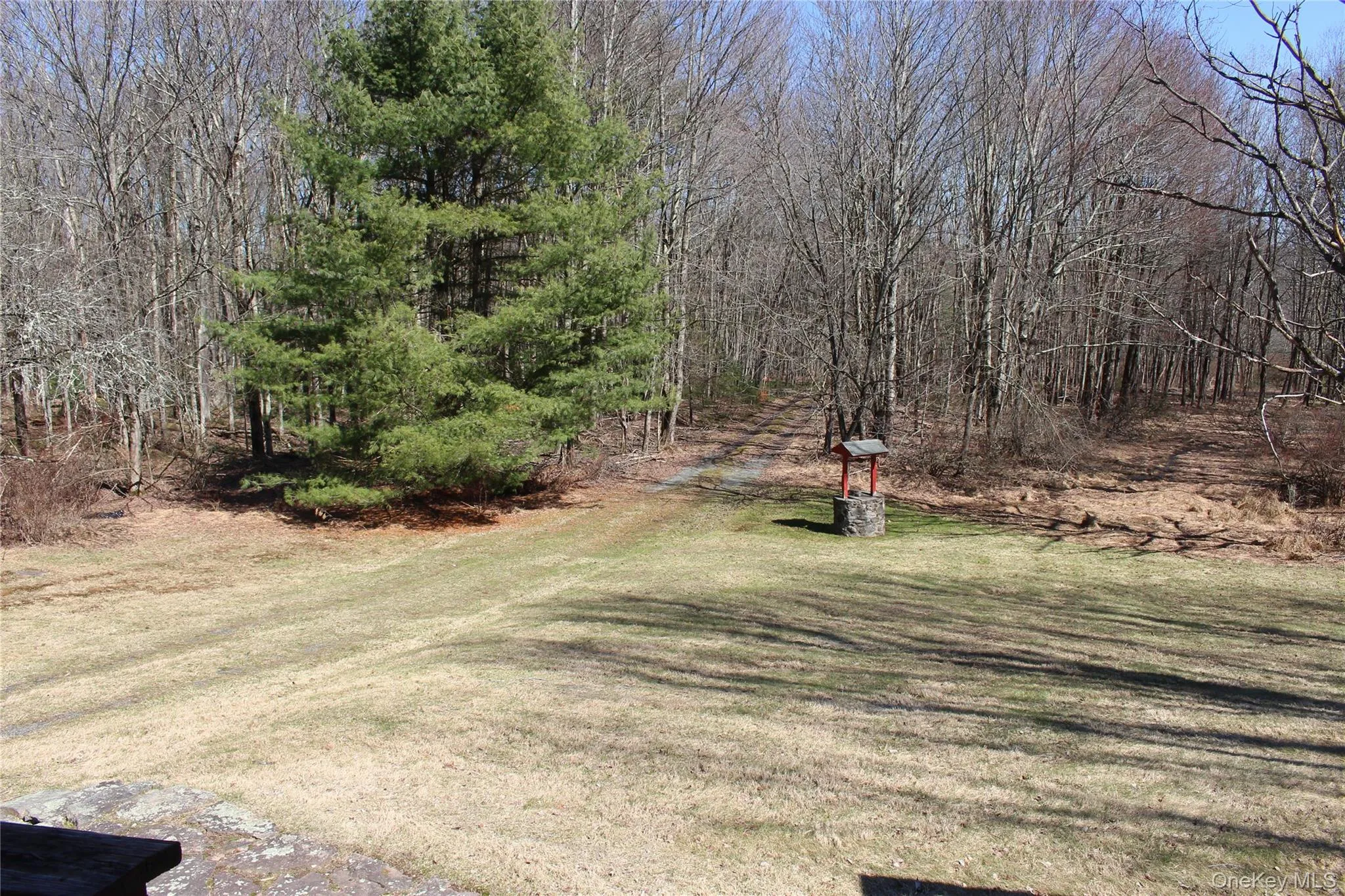 154 Britman Road, Bethel, NY, 5 Bedrooms Bedrooms, 8 Rooms Rooms,1 BathroomBathrooms,Residential,For Rent,Britman,0,972555 154 Britman Road, Bethel, NY, 5 Bedrooms Bedrooms, 8 Rooms Rooms,1 BathroomBathrooms,Residential,For Rent,Britman,0,972555