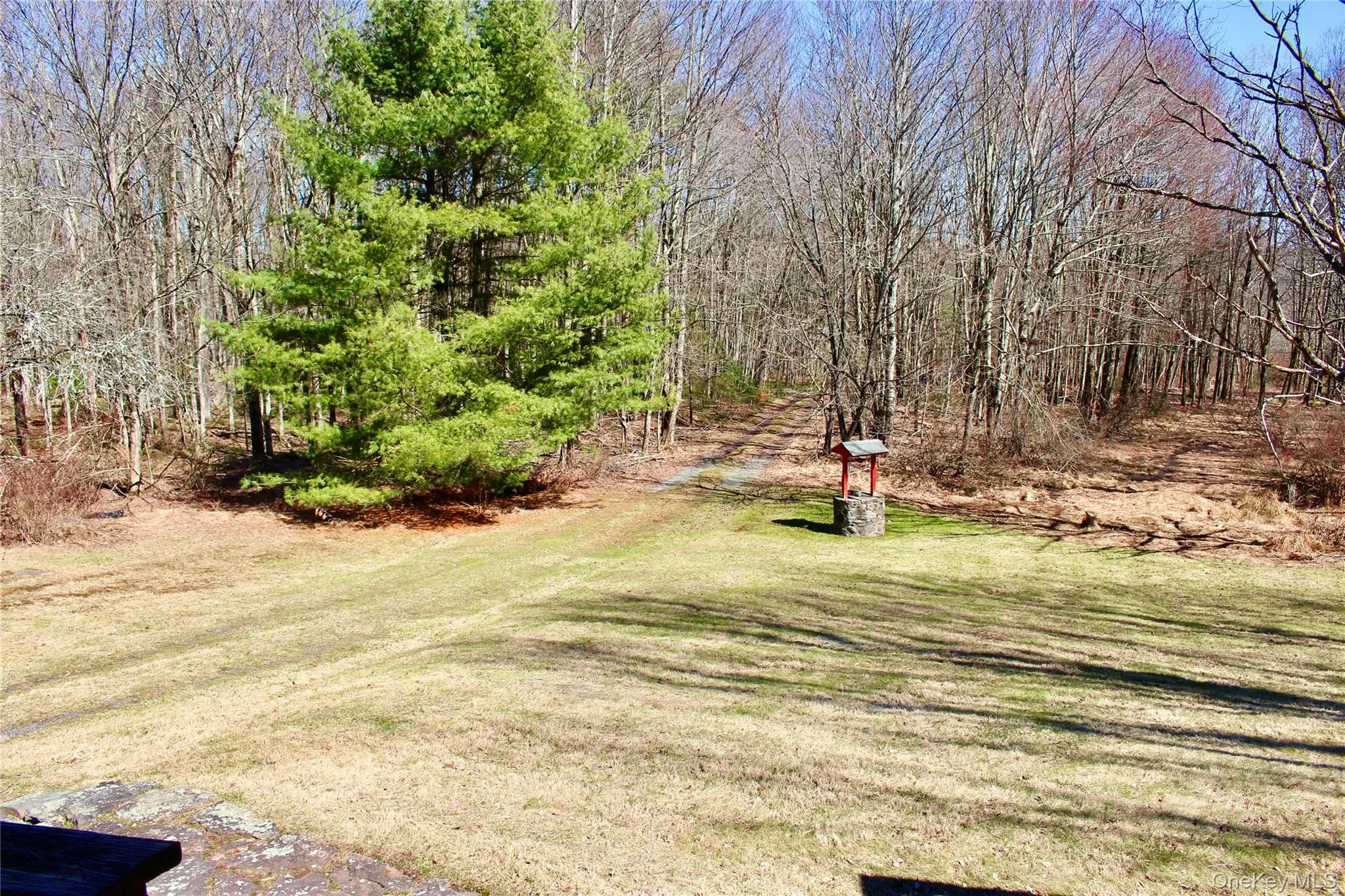 154 Britman Road, Bethel, NY, 5 Bedrooms Bedrooms, 8 Rooms Rooms,1 BathroomBathrooms,Residential,For Rent,Britman,0,972555 154 Britman Road, Bethel, NY, 5 Bedrooms Bedrooms, 8 Rooms Rooms,1 BathroomBathrooms,Residential,For Rent,Britman,0,972555