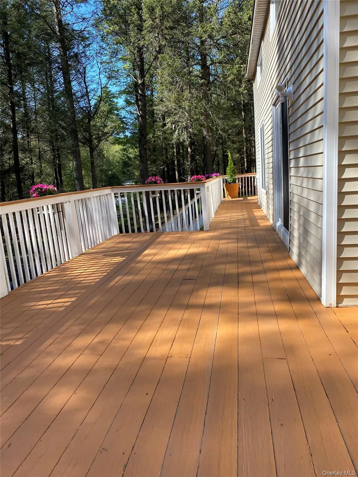 44 Lester Lane, Bethel, NY, 4 Bedrooms Bedrooms, 7 Rooms Rooms,2 BathroomsBathrooms,Residential Sale,For Rent,Lester,0,972571 44 Lester Lane, Bethel, NY, 4 Bedrooms Bedrooms, 7 Rooms Rooms,2 BathroomsBathrooms,Residential Sale,For Rent,Lester,0,972571