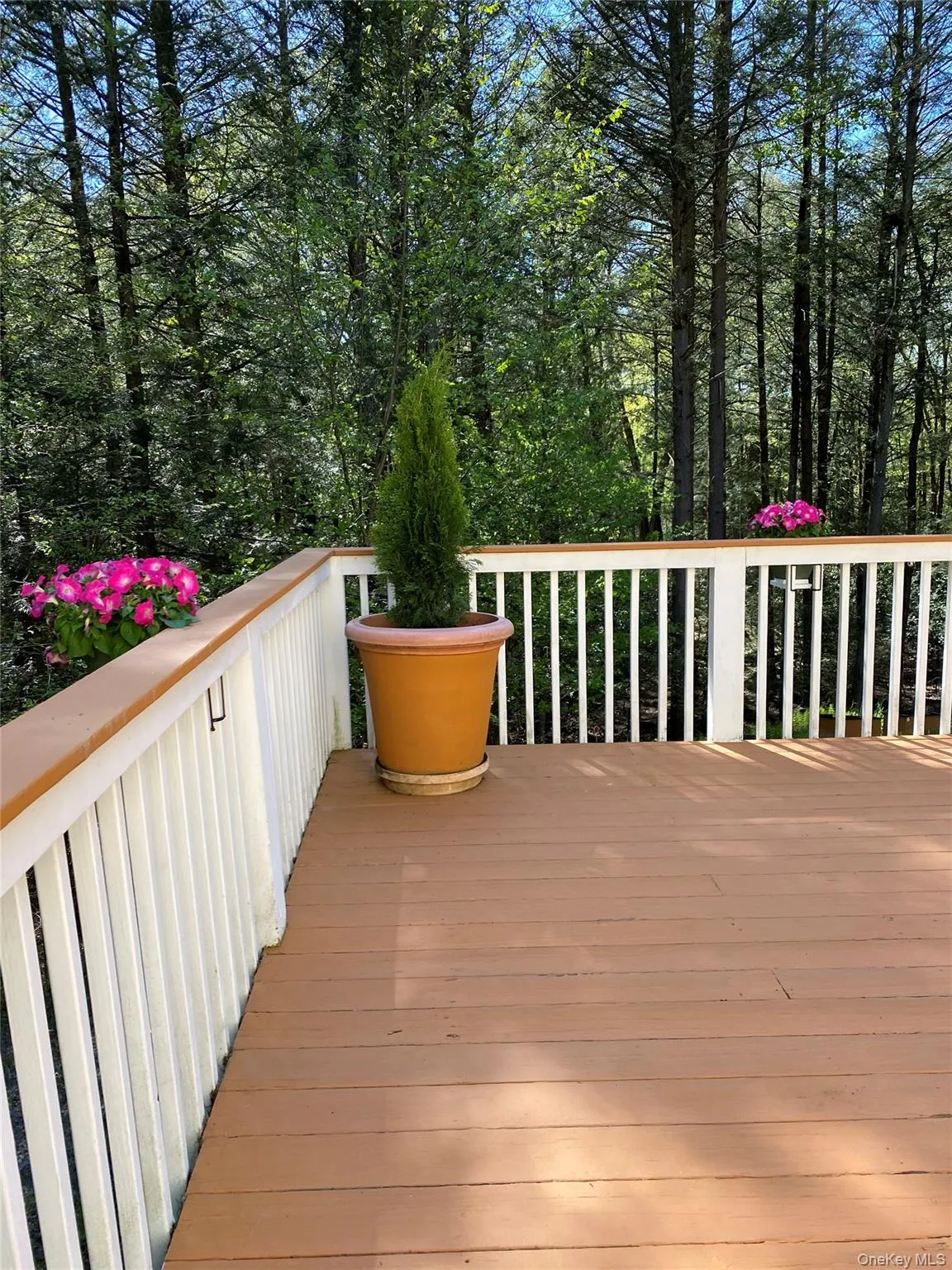 44 Lester Lane, Bethel, NY, 4 Bedrooms Bedrooms, 7 Rooms Rooms,2 BathroomsBathrooms,Residential Sale,For Rent,Lester,0,972571 44 Lester Lane, Bethel, NY, 4 Bedrooms Bedrooms, 7 Rooms Rooms,2 BathroomsBathrooms,Residential Sale,For Rent,Lester,0,972571