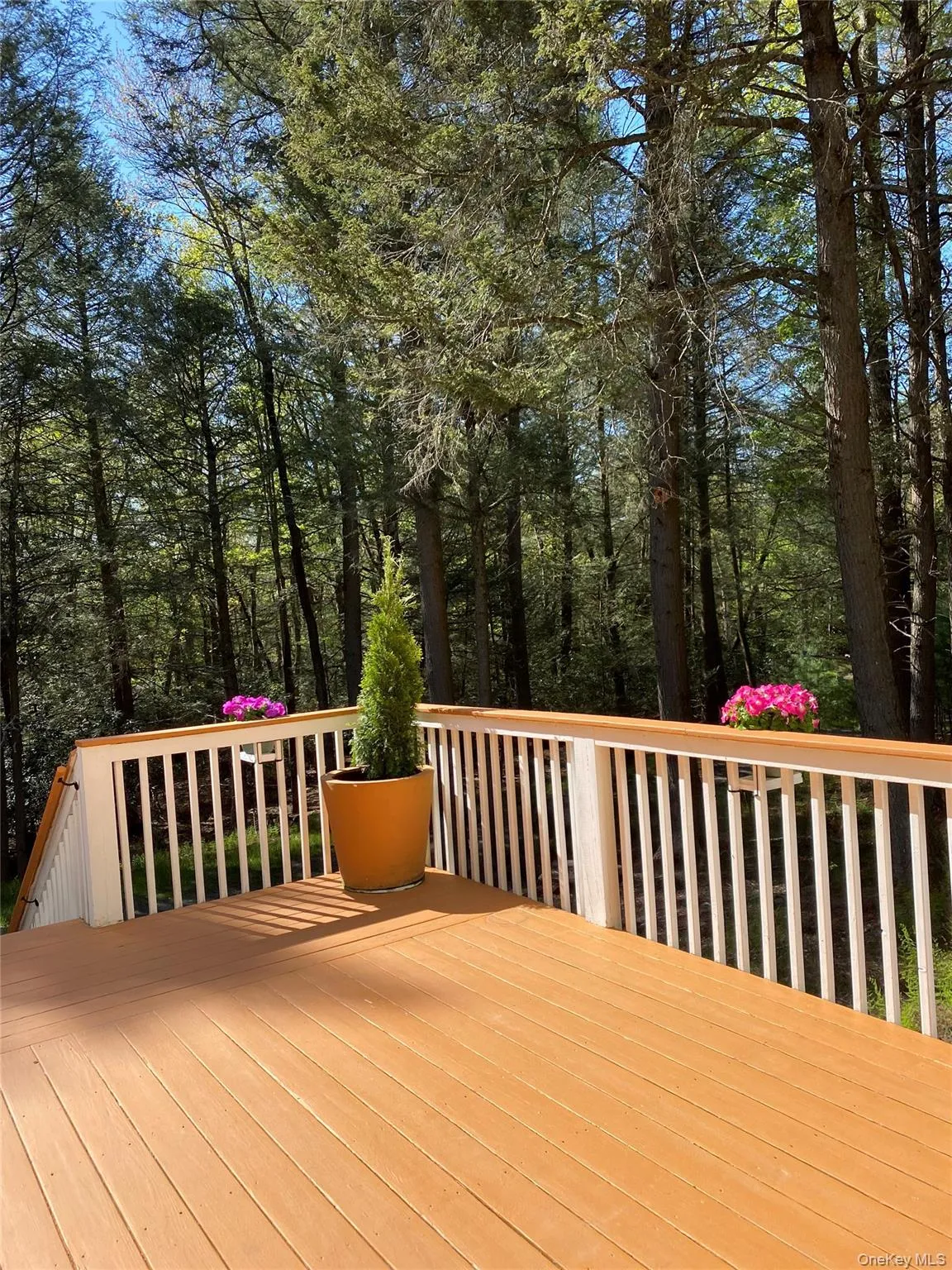 44 Lester Lane, Bethel, NY, 4 Bedrooms Bedrooms, 7 Rooms Rooms,2 BathroomsBathrooms,Residential Sale,For Rent,Lester,0,972571 44 Lester Lane, Bethel, NY, 4 Bedrooms Bedrooms, 7 Rooms Rooms,2 BathroomsBathrooms,Residential Sale,For Rent,Lester,0,972571