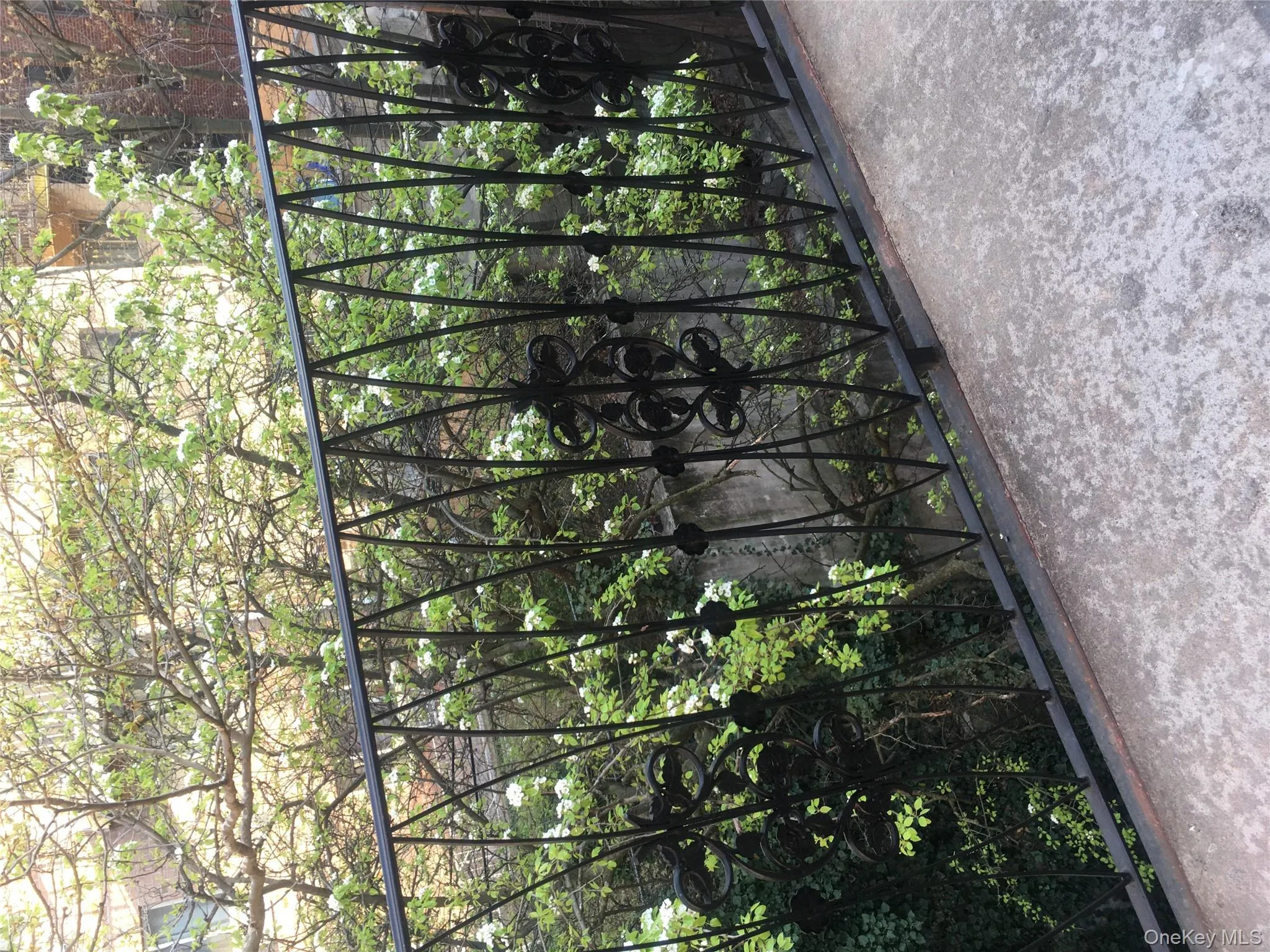 14144 84th Road, New York, NY, 1 Bedroom Bedrooms, 3 Rooms Rooms,1 BathroomBathrooms,Residential Lease,For Rent,84th,0,972601 14144 84th Road, New York, NY, 1 Bedroom Bedrooms, 3 Rooms Rooms,1 BathroomBathrooms,Residential Lease,For Rent,84th,0,972601