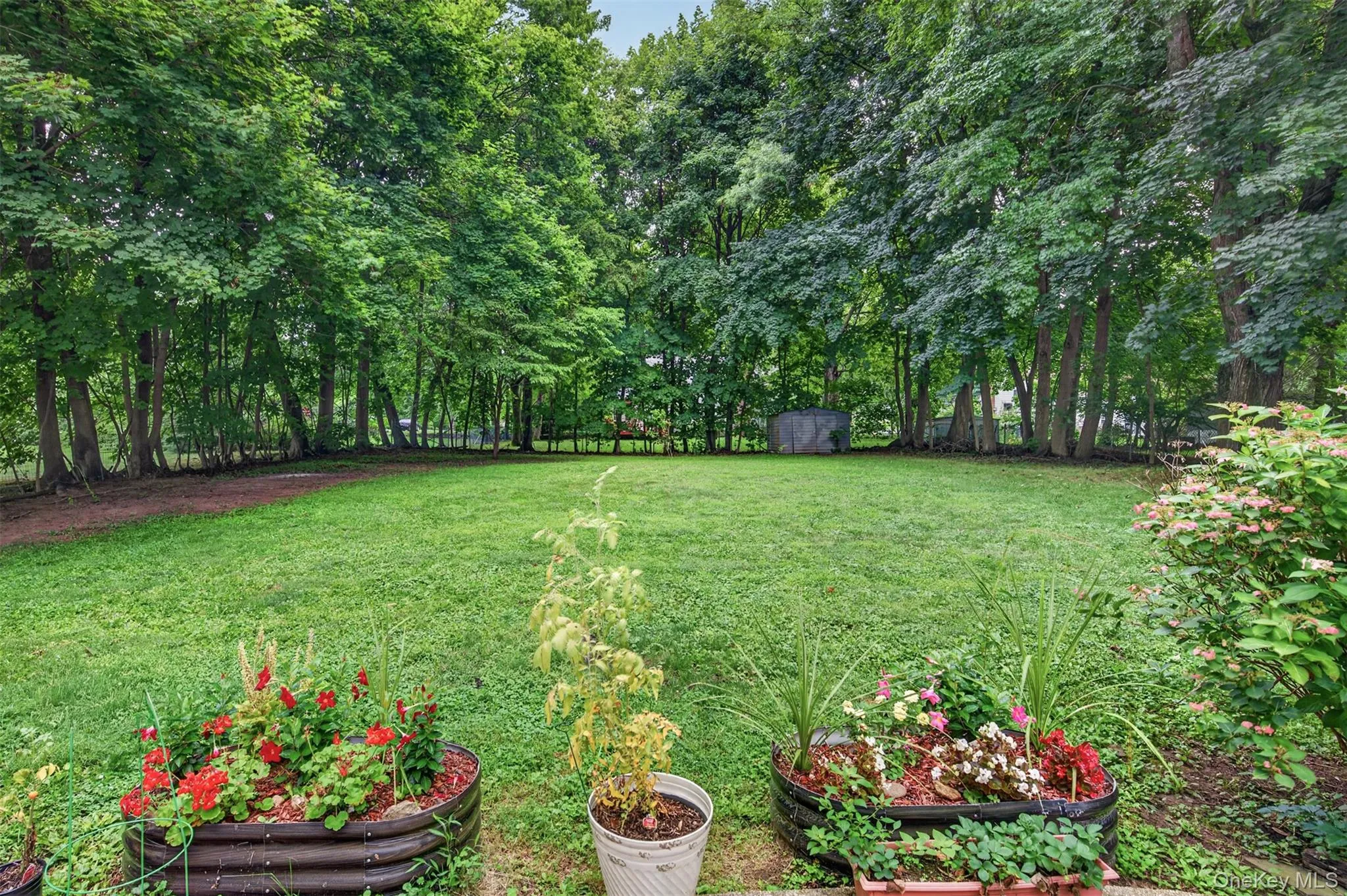 Backyard Backyard