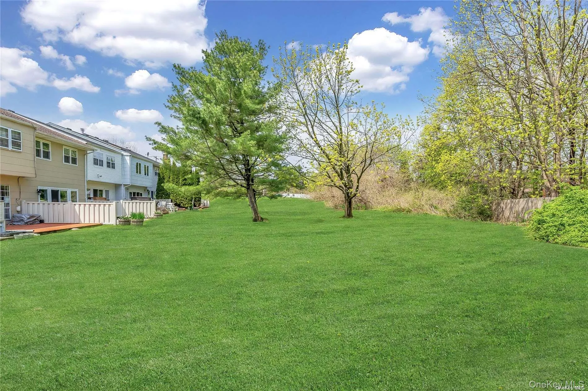 BACKYARD BACKYARD