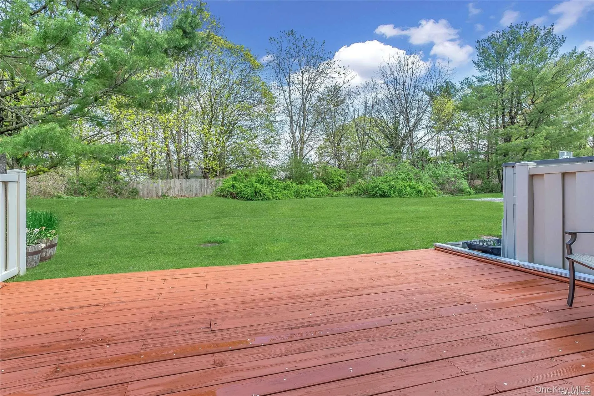 BACKYARD BACKYARD