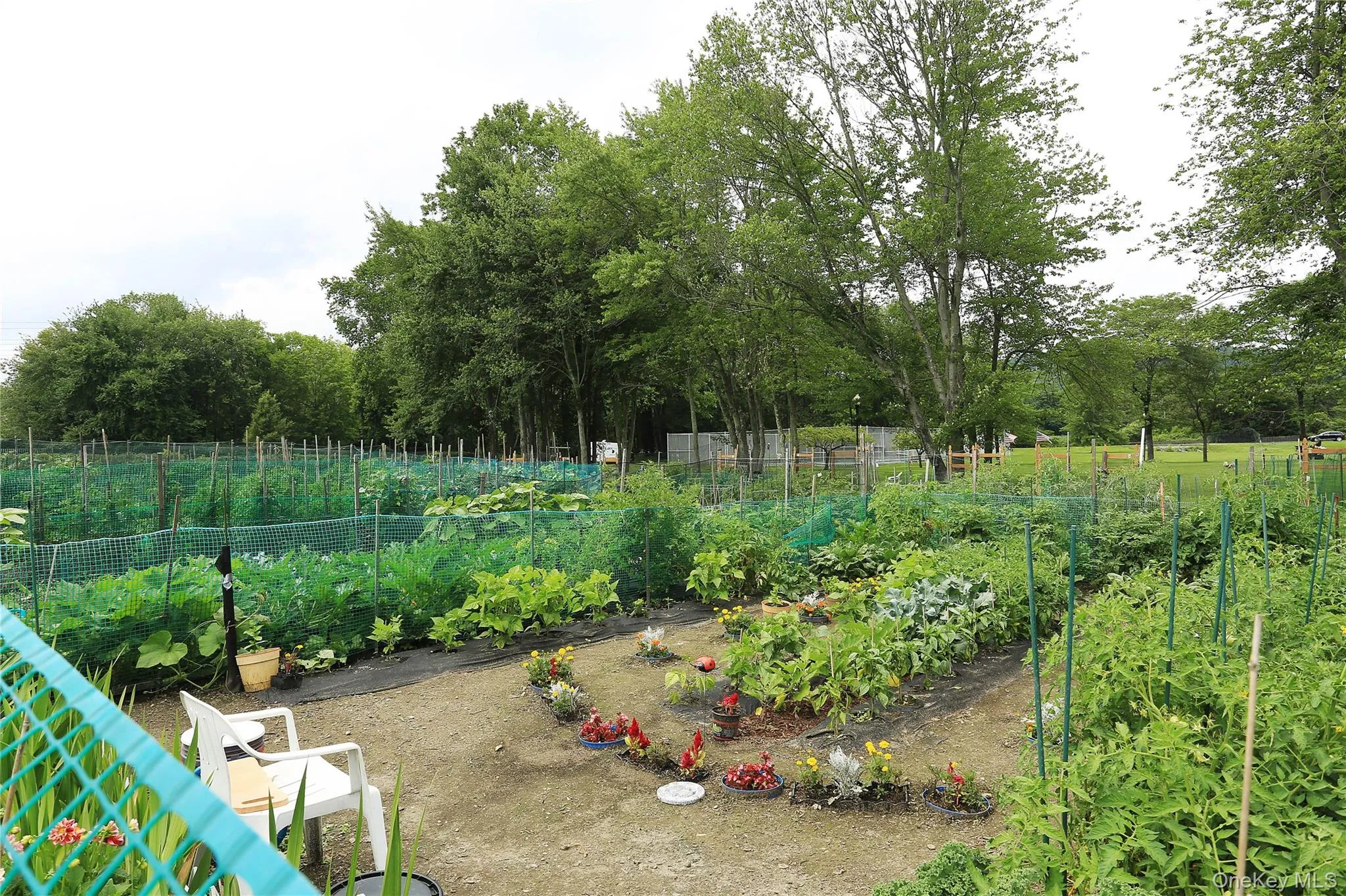 Choose a space for your vegetable or floral garden. Choose a space for your vegetable or floral garden.