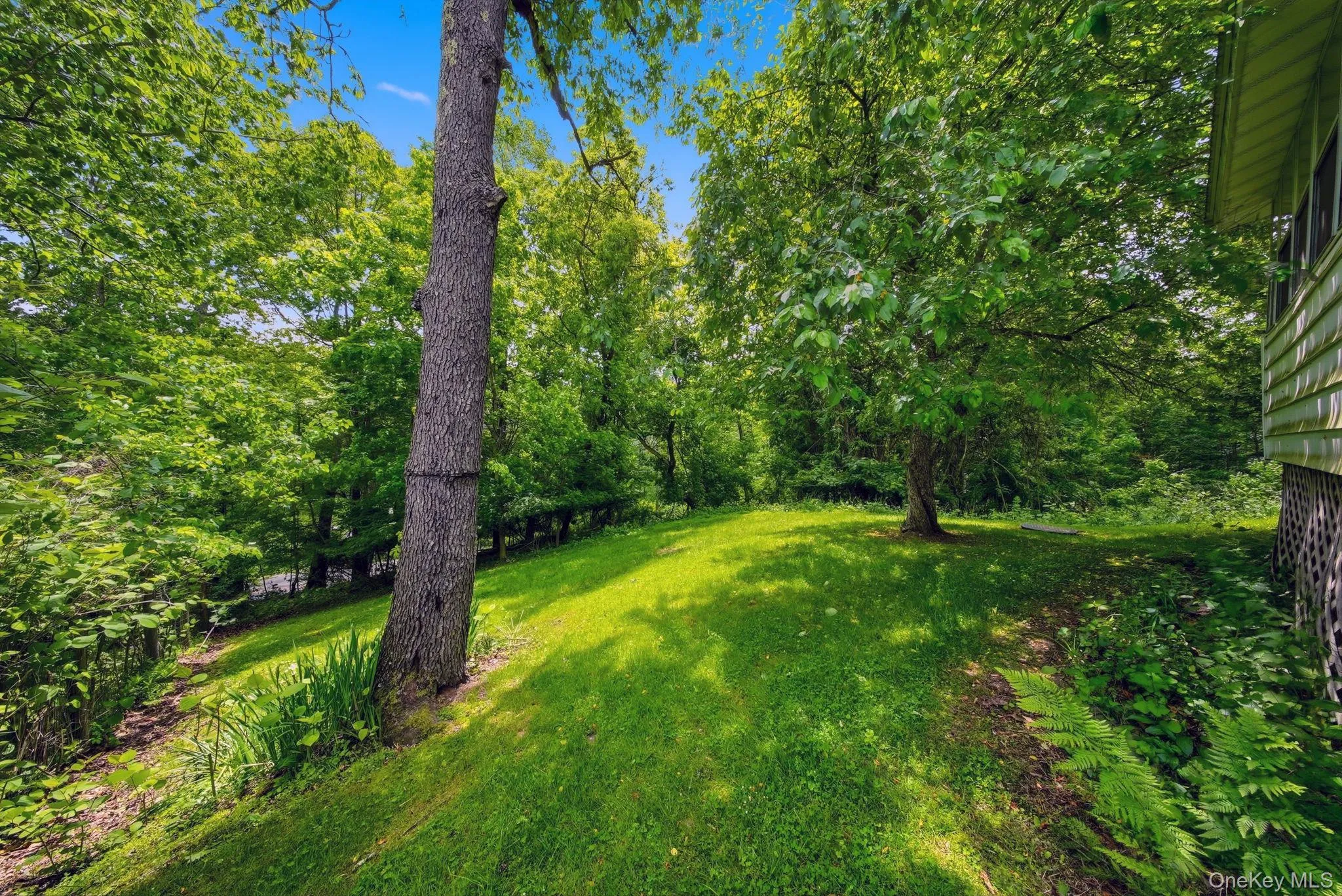 10 Fayer Court, Mamakating, NY, 2 Bedrooms Bedrooms, 4 Rooms Rooms,1 BathroomBathrooms,Residential,For Rent,Fayer,0,972720 10 Fayer Court, Mamakating, NY, 2 Bedrooms Bedrooms, 4 Rooms Rooms,1 BathroomBathrooms,Residential,For Rent,Fayer,0,972720