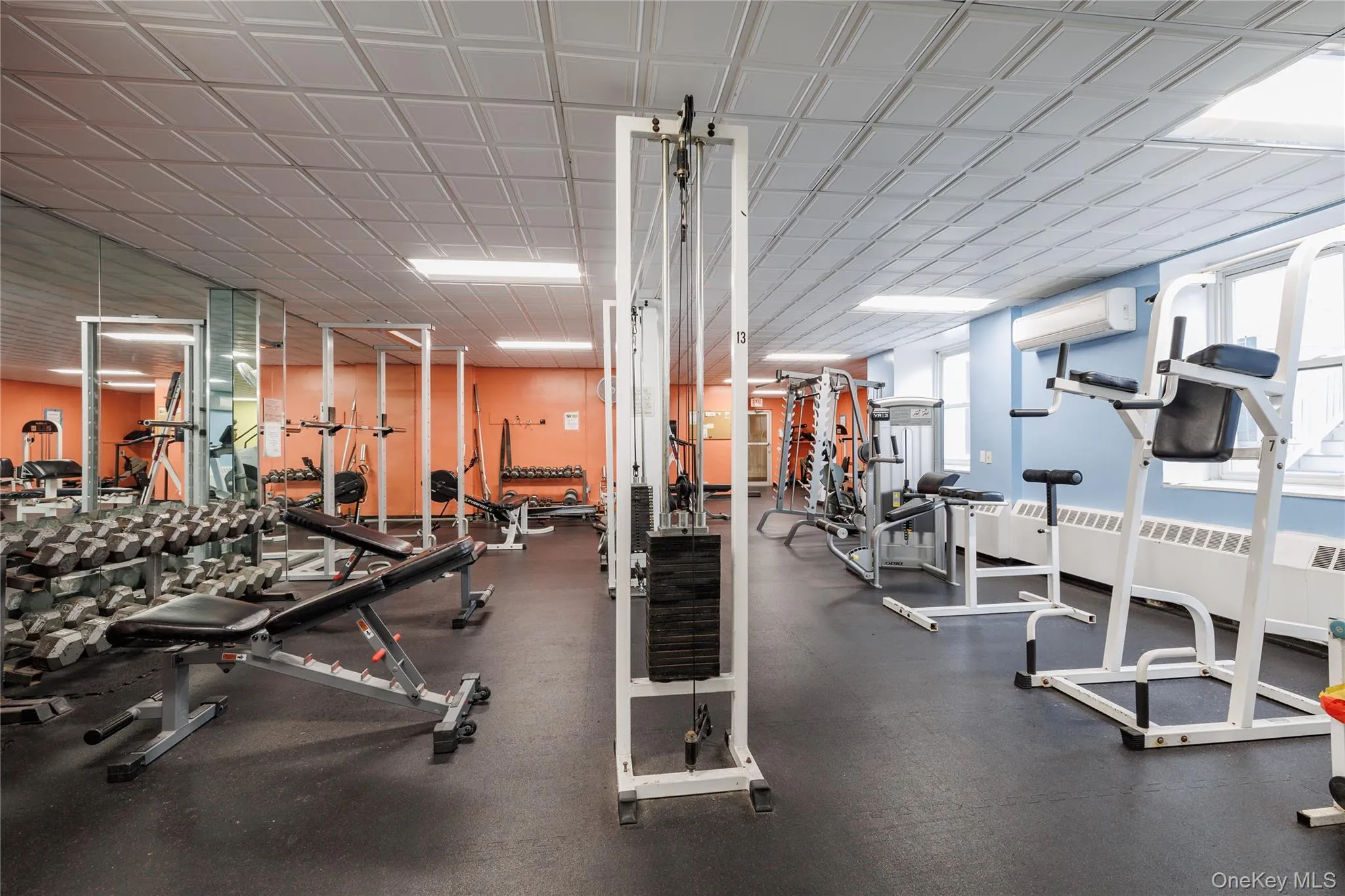 Large and full gym! Large and full gym!