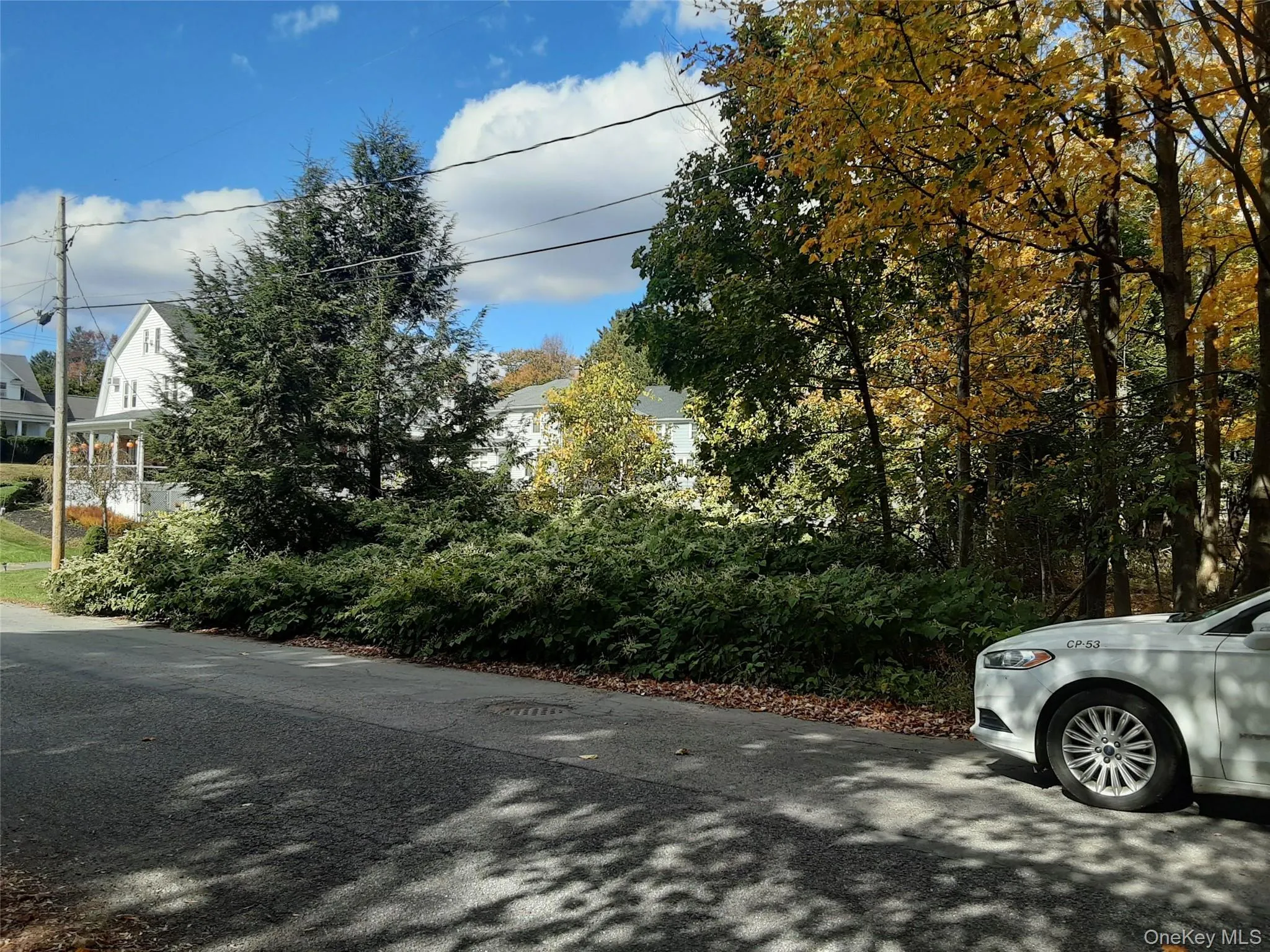 Woodland Avenue, Liberty, NY, ,Land,For Rent,Woodland,0,972857 Woodland Avenue, Liberty, NY, ,Land,For Rent,Woodland,0,972857